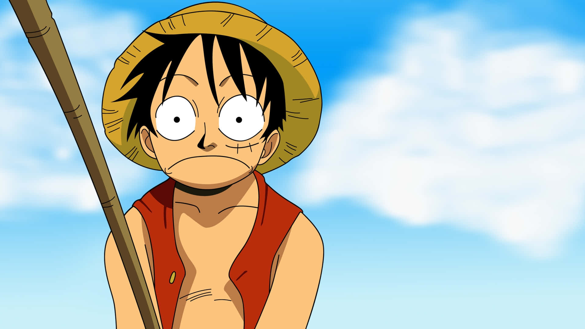 straw hat, black hair, wooden stick, Full HD Desktop Wallpaper