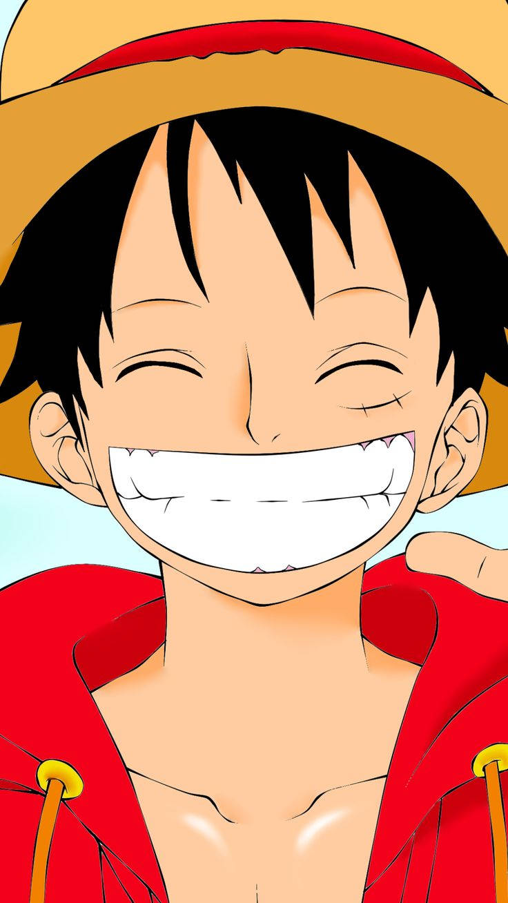 Monkey D Luffy, straw hat, red hoodie, HD Phone Wallpaper