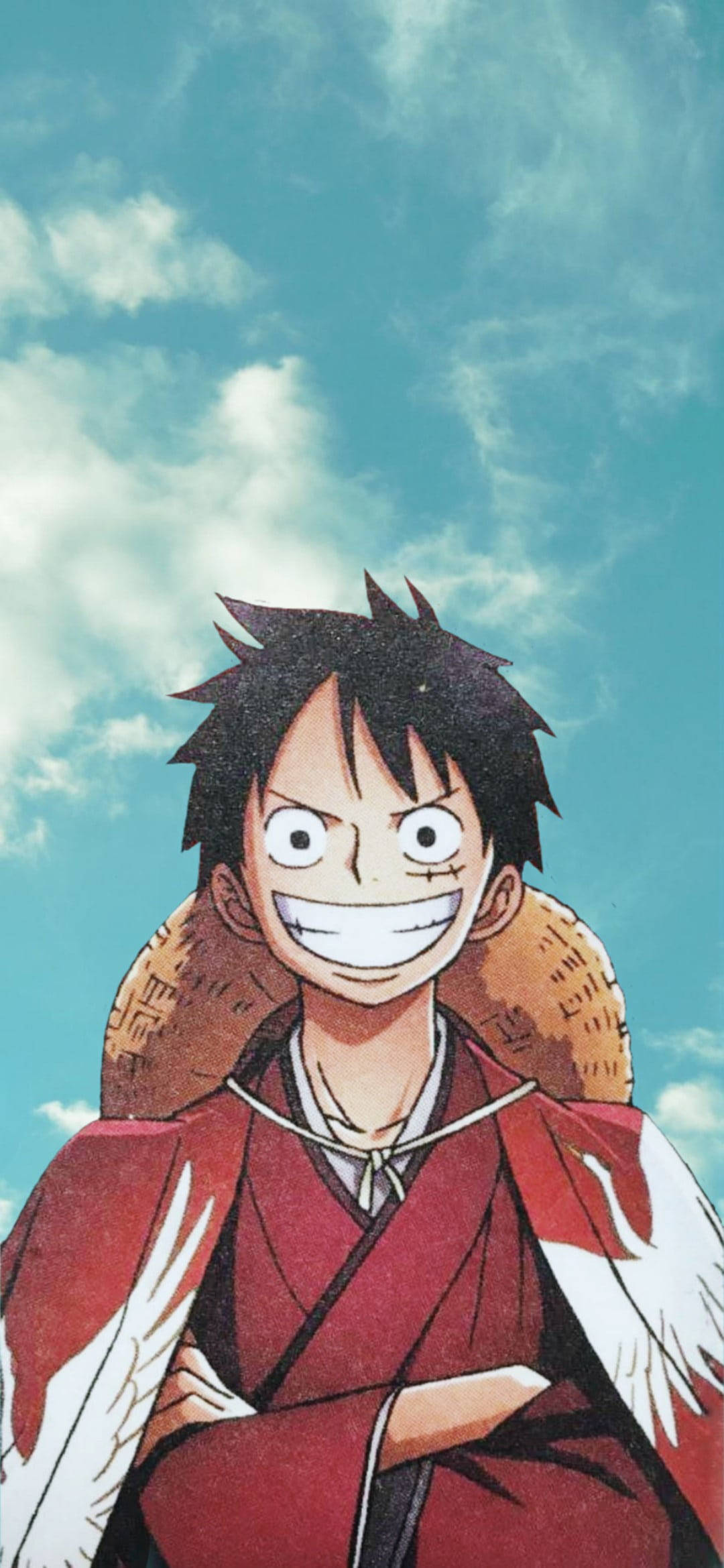 Monkey D Luffy, red robe, white crane wings, Full HD Phone Wallpaper