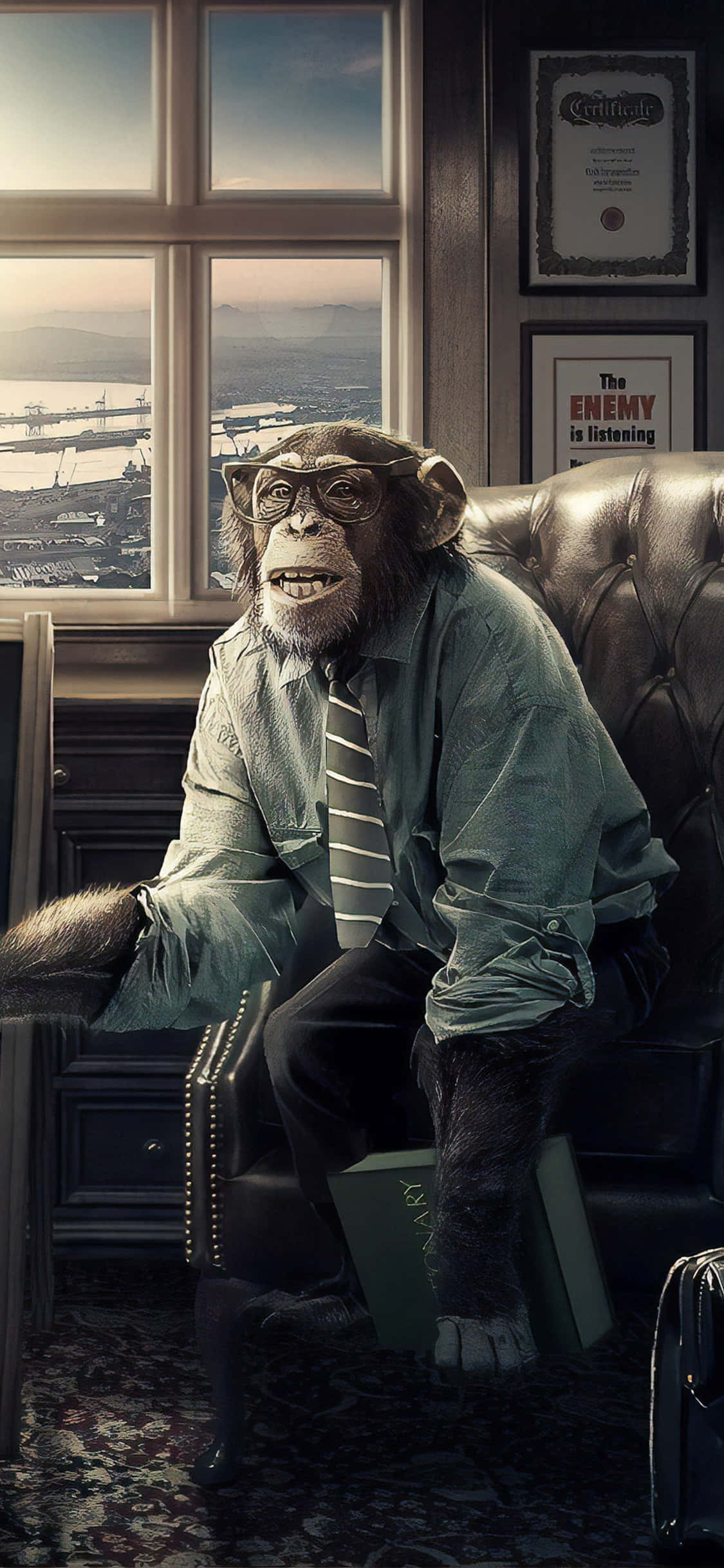 monkey, chimpanzee, suit, Full HD Phone Wallpaper
