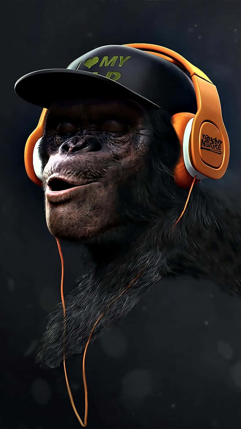 Monkey iPhone, chimpanzee, orange headphones, HD Phone Wallpaper