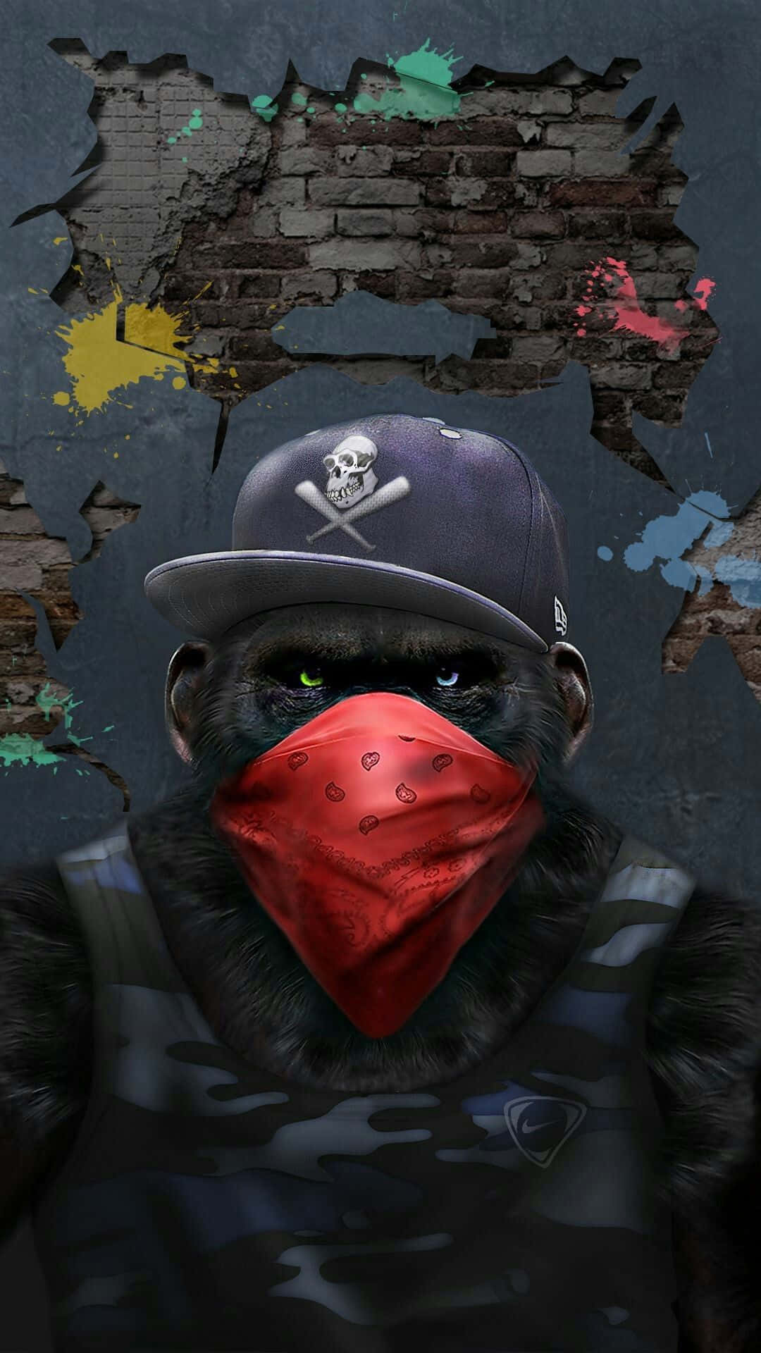 monkey, red bandana, hat, Full HD Phone Wallpaper