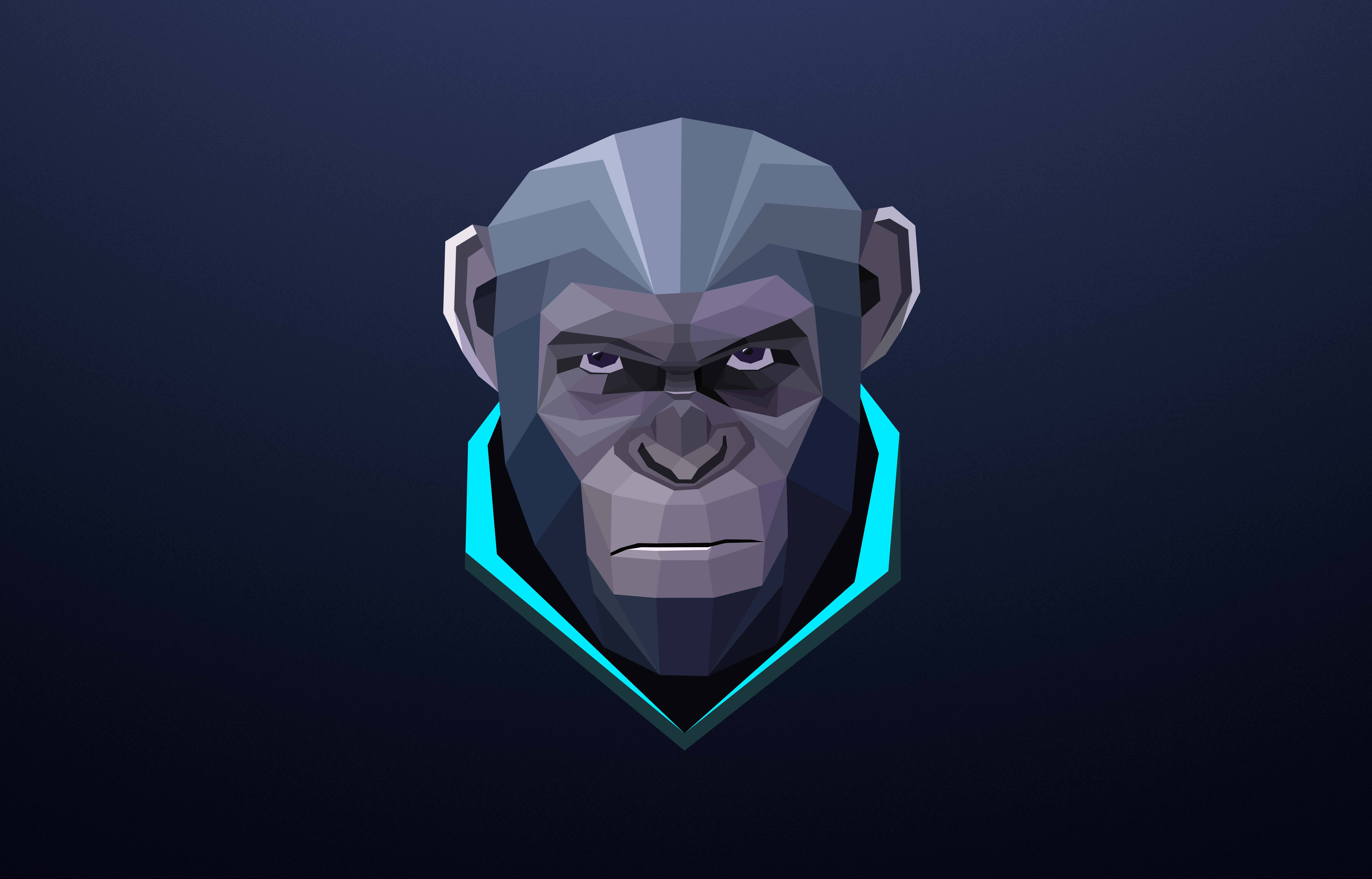 minimalist fierce monkey, low-poly chimp head, glowing cyan outline, 8K Desktop Wallpaper