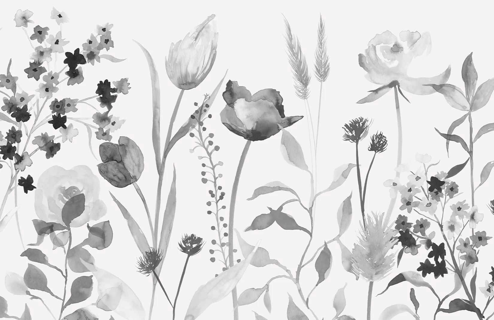 monochrome floral watercolor pattern, tulips, roses, HD Desktop Wallpaper