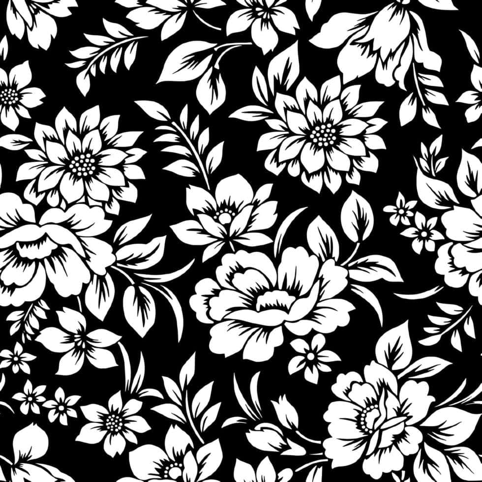 Monochrome Elegance, black and white flower, bold black and white floral pattern, SD Desktop Wallpaper