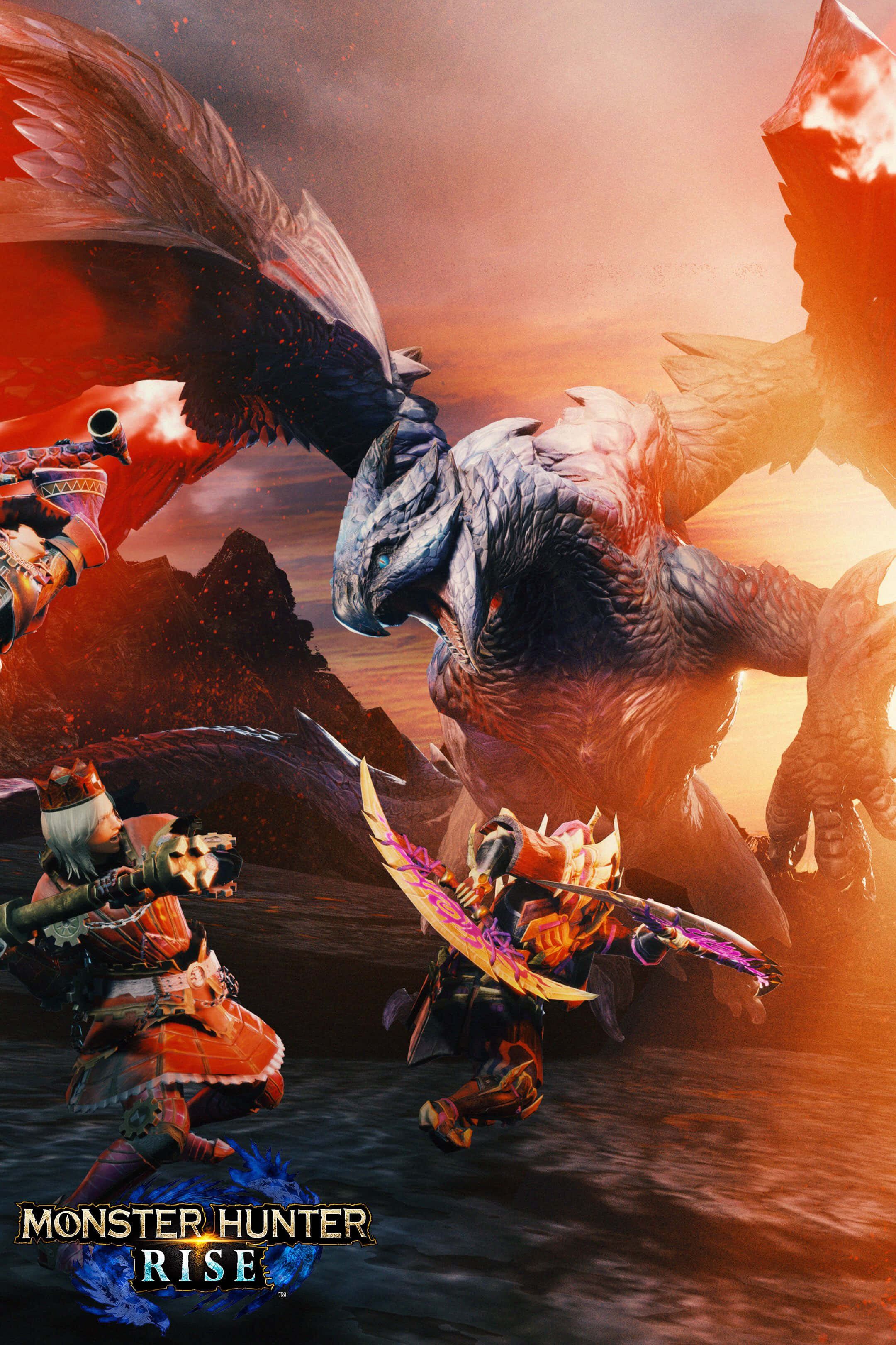Monster Hunter 3, hunters, ornate armor, 2K Phone Wallpaper