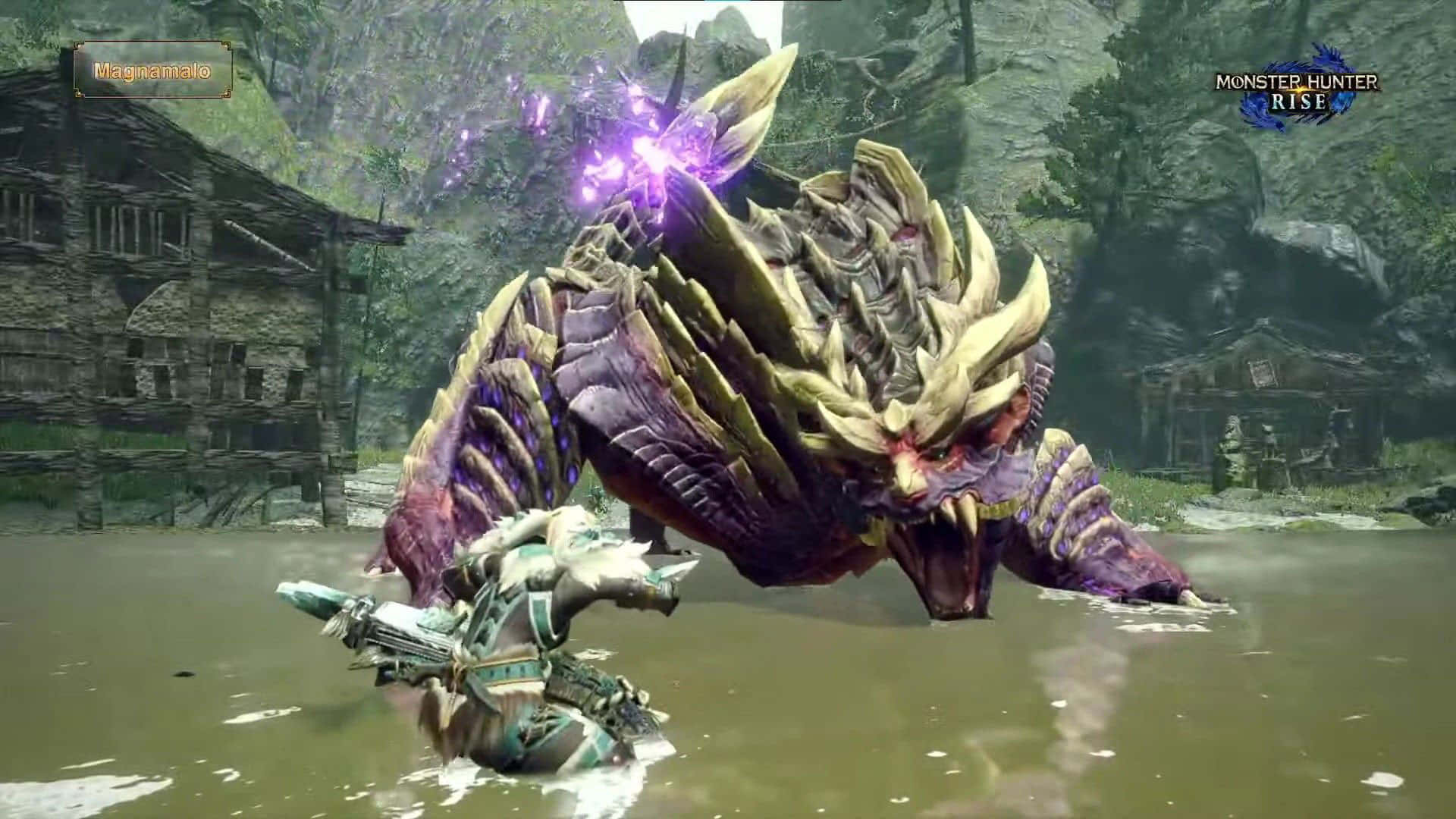 Monster Hunter 3, hunter in armor, massive purple and gold scaled monster, Full HD Desktop Wallpaper