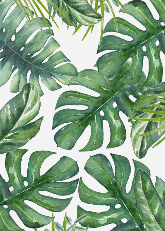 Monstera Leaf, tropical jungle, vibrant watercolor, SD Phone Wallpaper