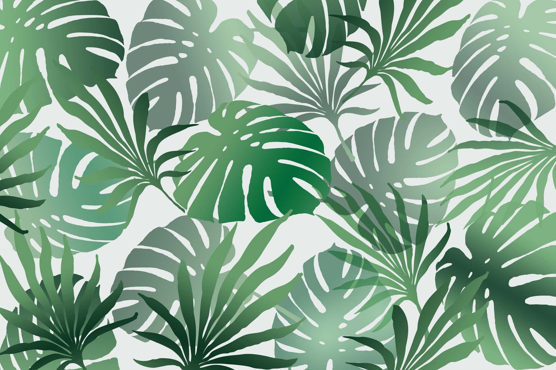 Tropical Summer Monstera Leaves, monstera, palm leaves, HD Desktop Wallpaper