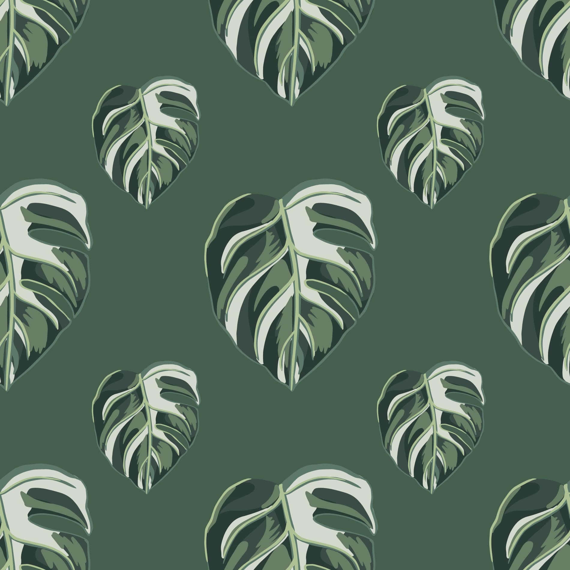 Monstera leaves, bold green, white patterns, HD Desktop Wallpaper