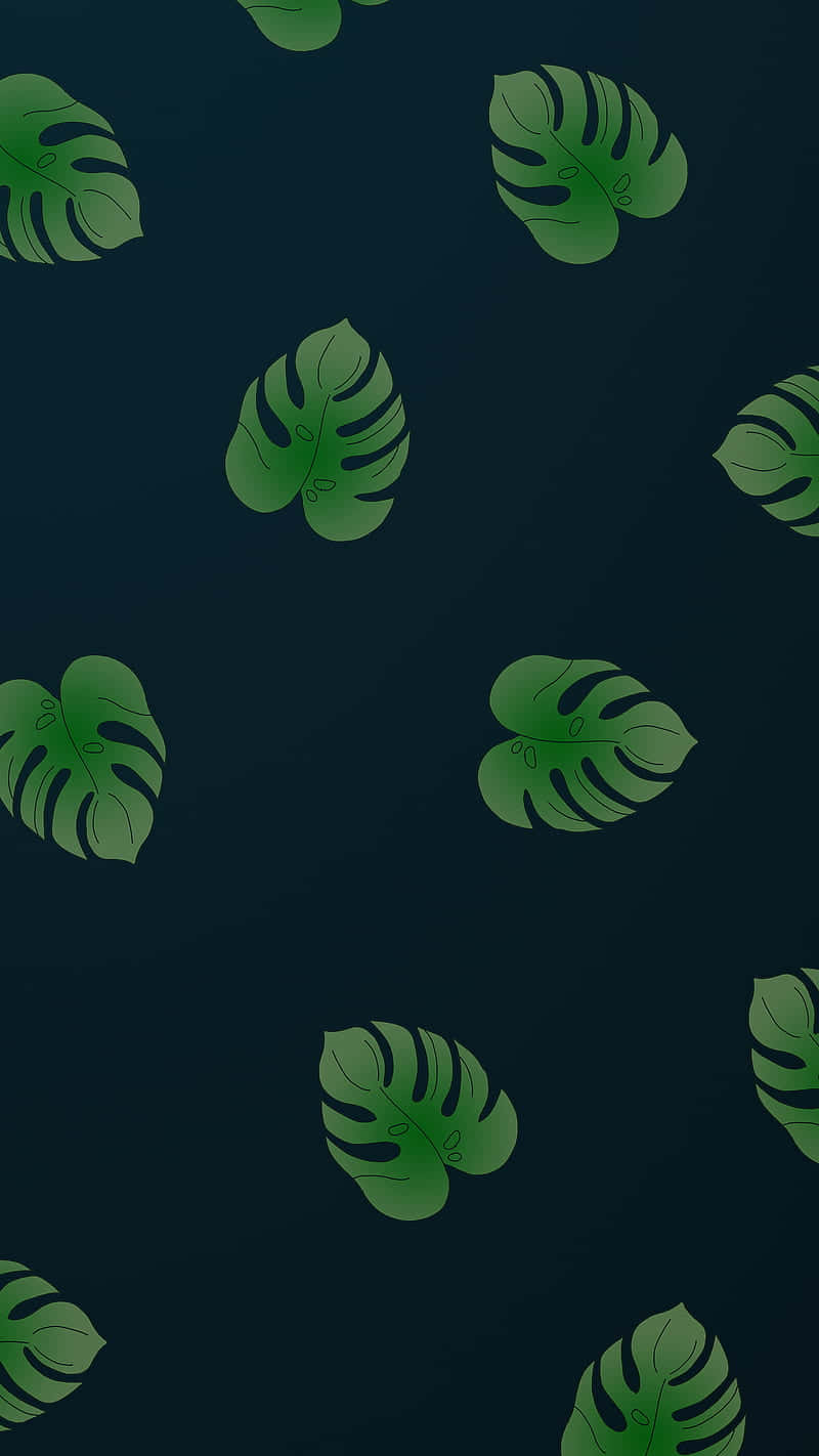 Monstera Leaves, dark blue, digital illustration, HD Phone Wallpaper