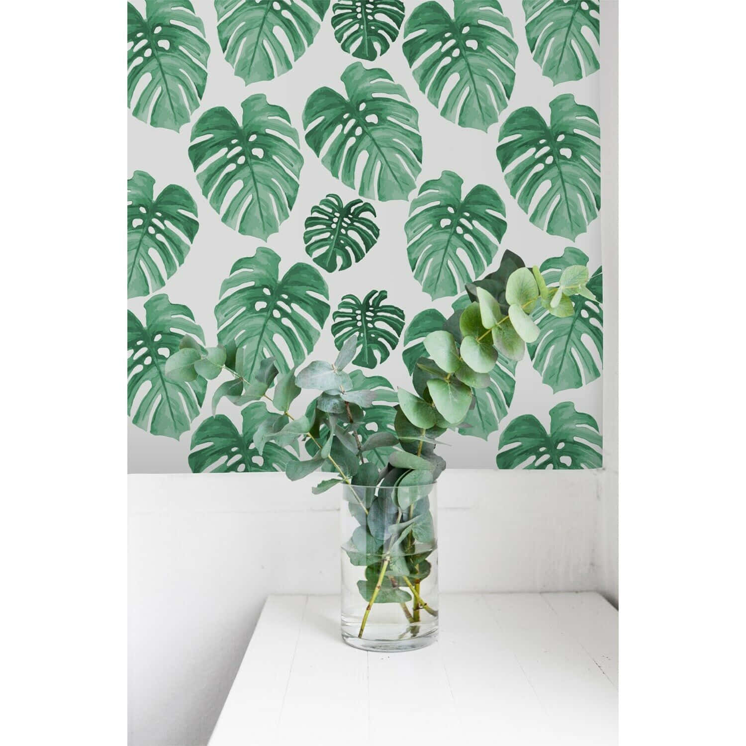 Monstera leaf wallpaper, large green monstera leaf, white shelf, HD Desktop Wallpaper