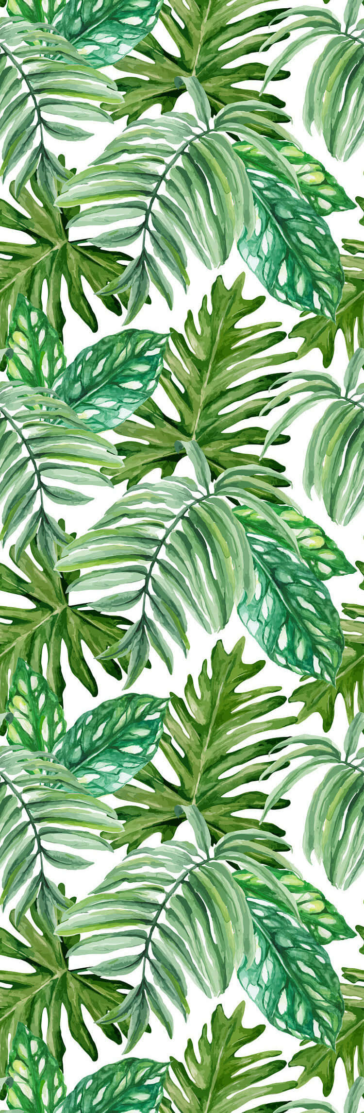 Monstera Leaves, watercolor, tropical leaves, Full HD Phone Wallpaper