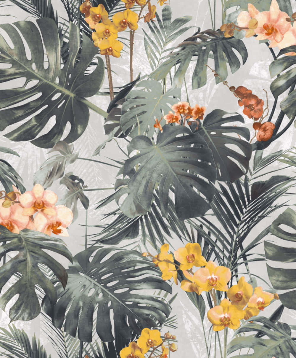 Monstera leaf, vibrant yellow and peach orchids, soft gray textured background, SD Phone Wallpaper