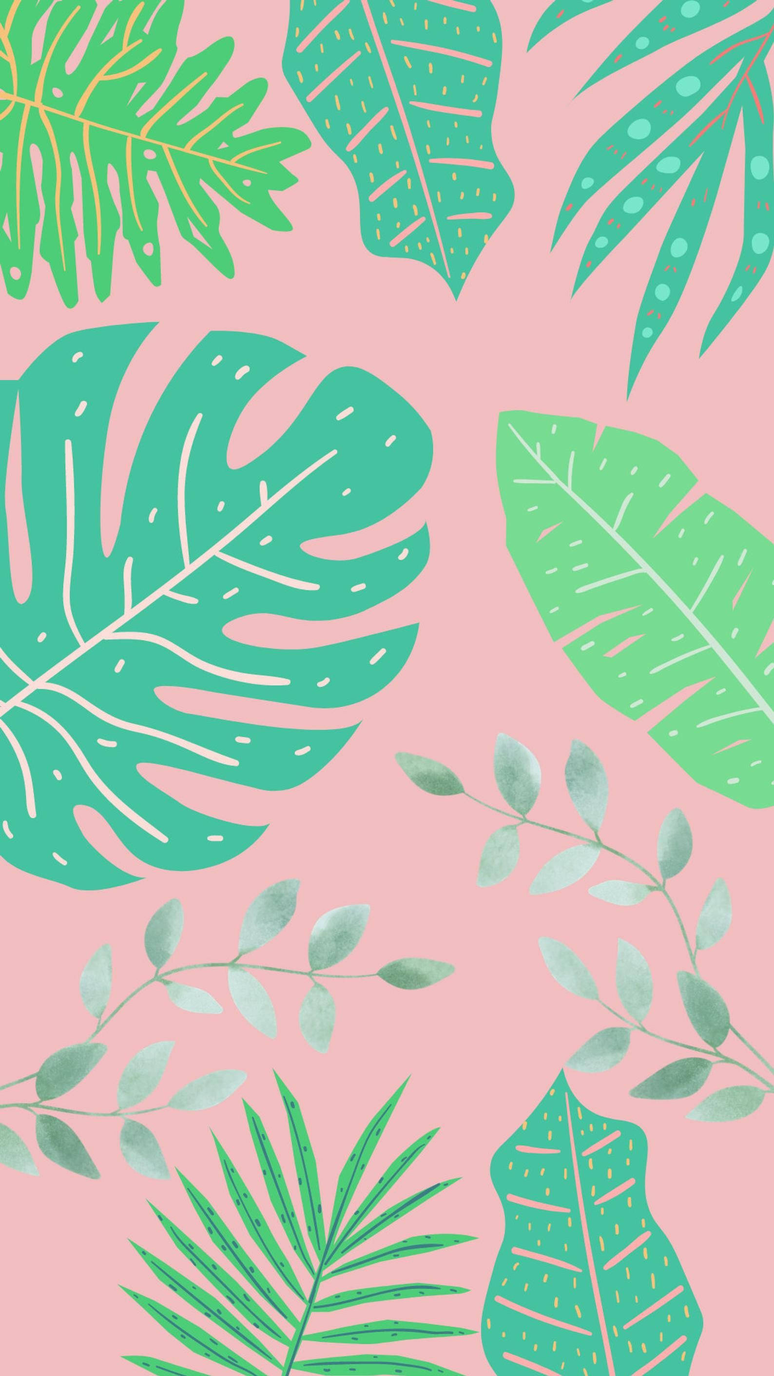 Monstera, pink, teal, 2K Phone Wallpaper