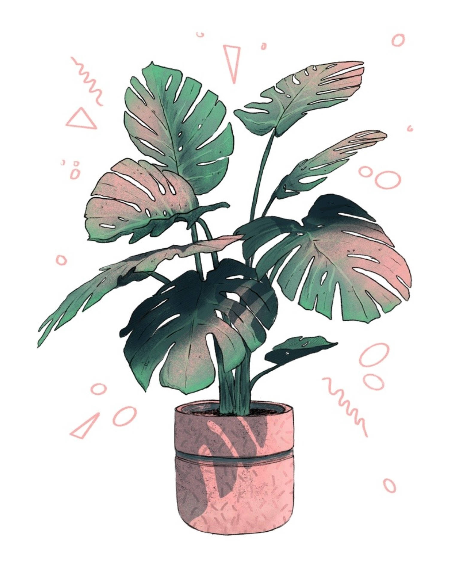monstera, pink pot, gradient green and pink leaves, Full HD Phone Wallpaper