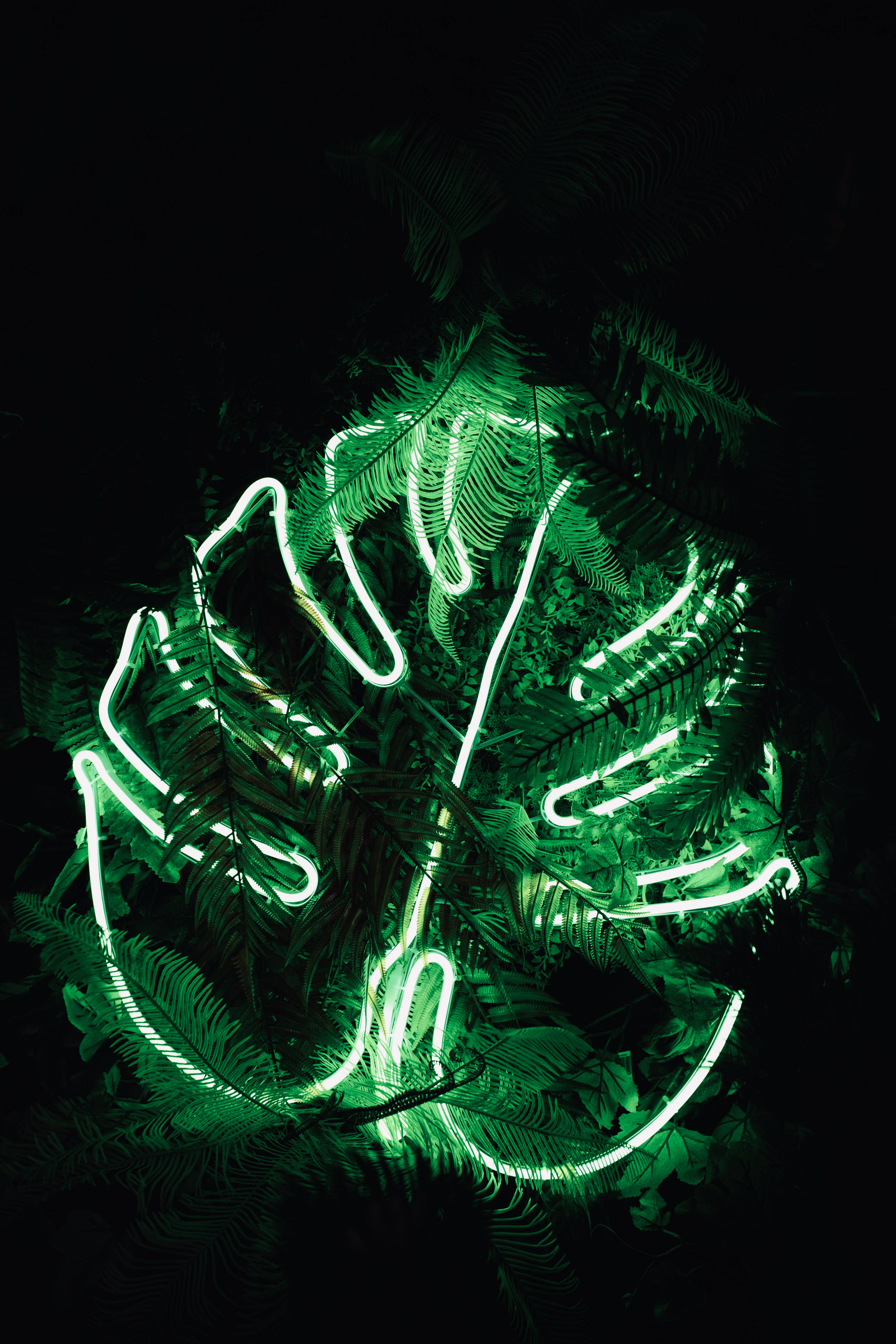 neon green, monstera leaf, dark tropical foliage, 5K Phone Wallpaper