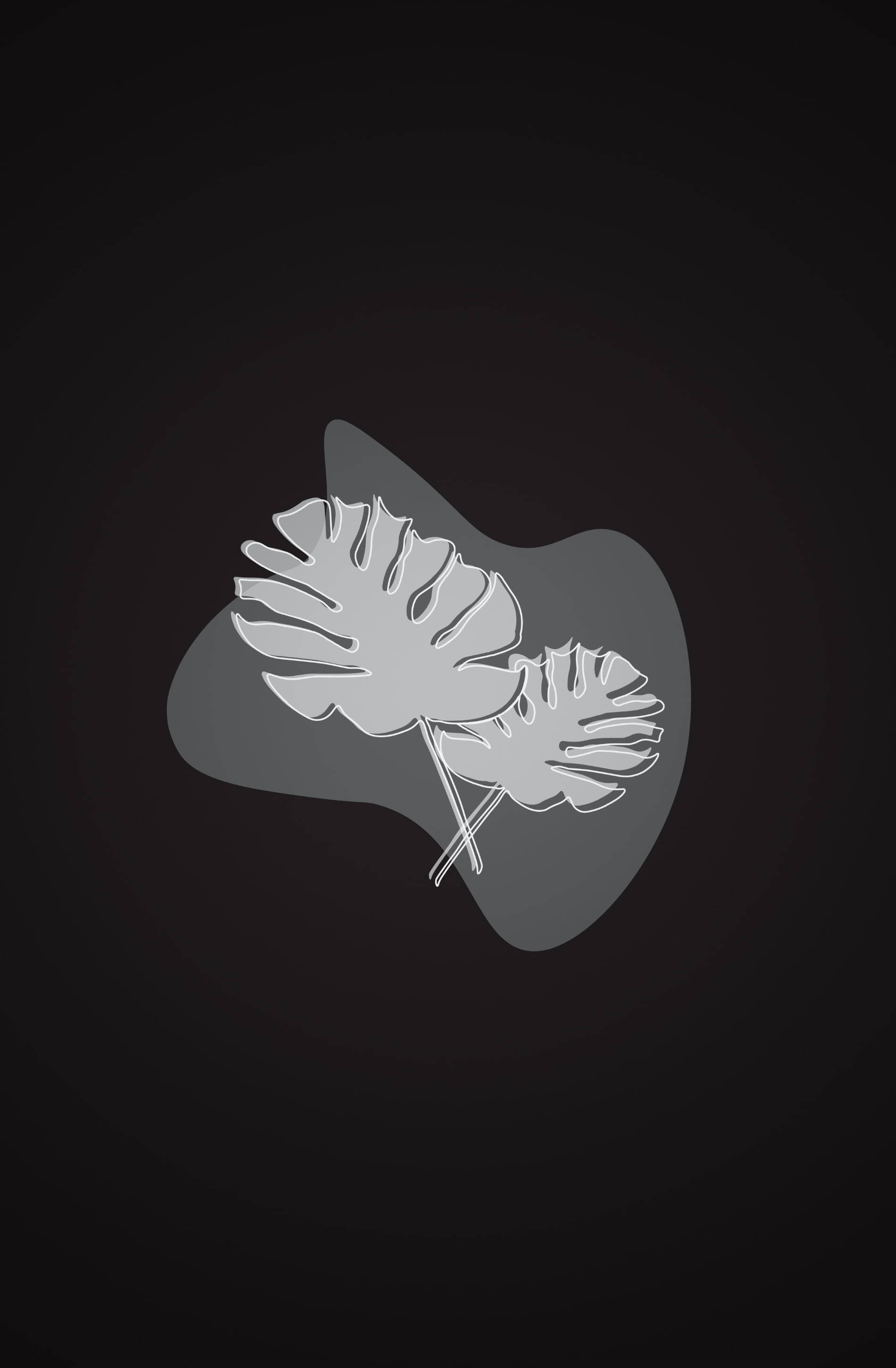 Monstera plant, minimalist, black phone, 2K Phone Wallpaper