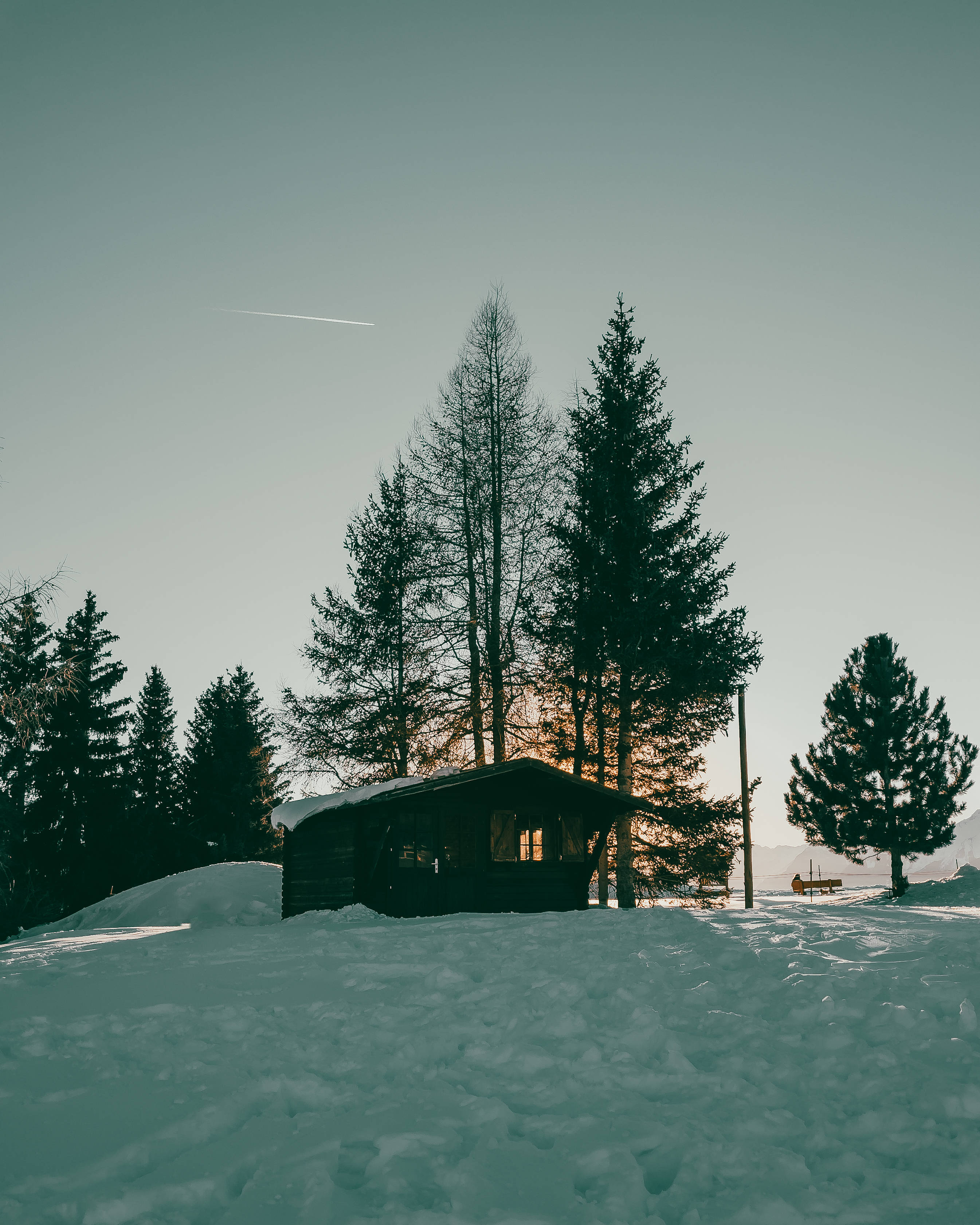 wooden cabin, snow-covered pine trees, pale sky, 2K Phone Wallpaper