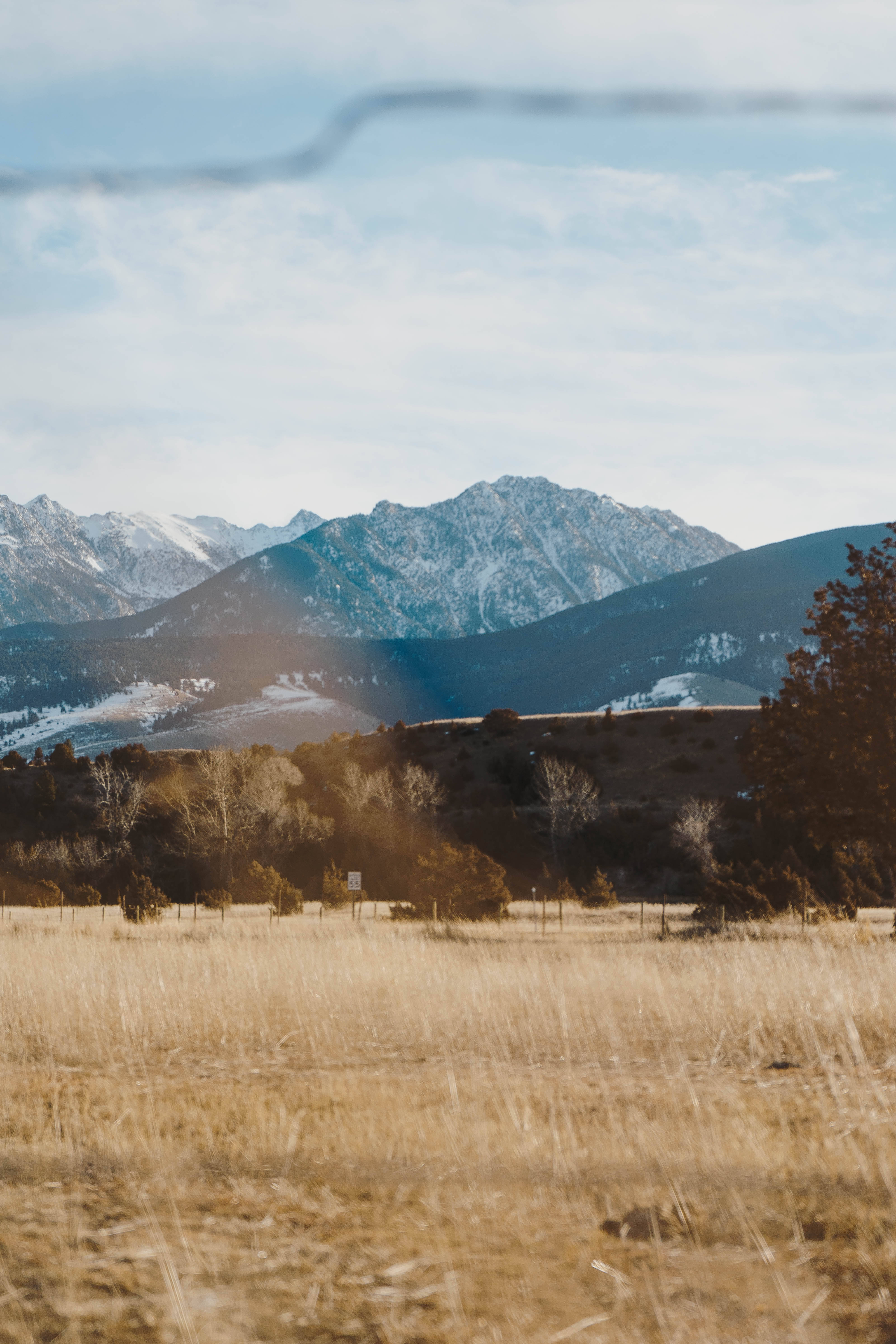 Montana, iPhone, golden grass field, 5K Phone Wallpaper