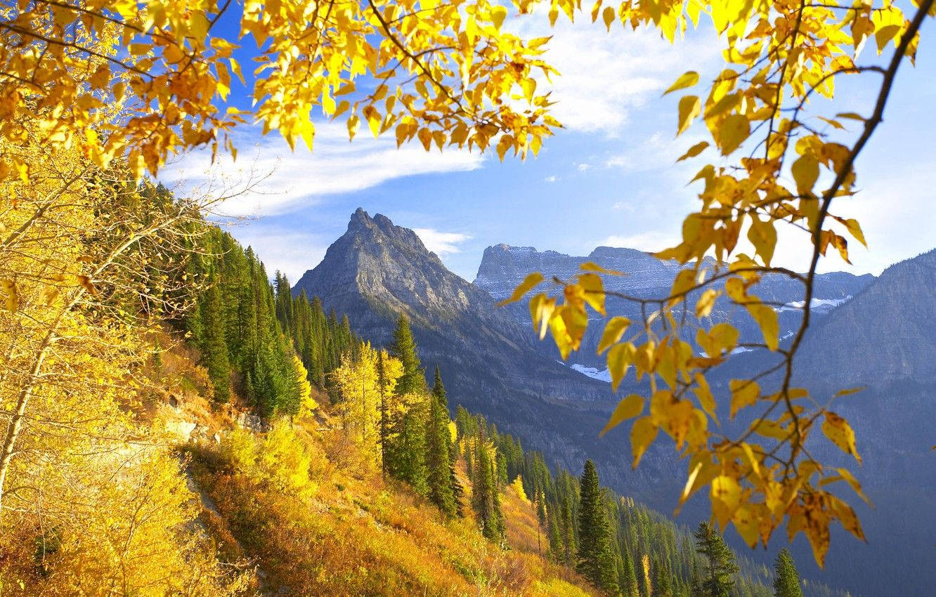 Yellow Montana Mountain, golden autumn leaves, majestic mountain range, HD Desktop Wallpaper