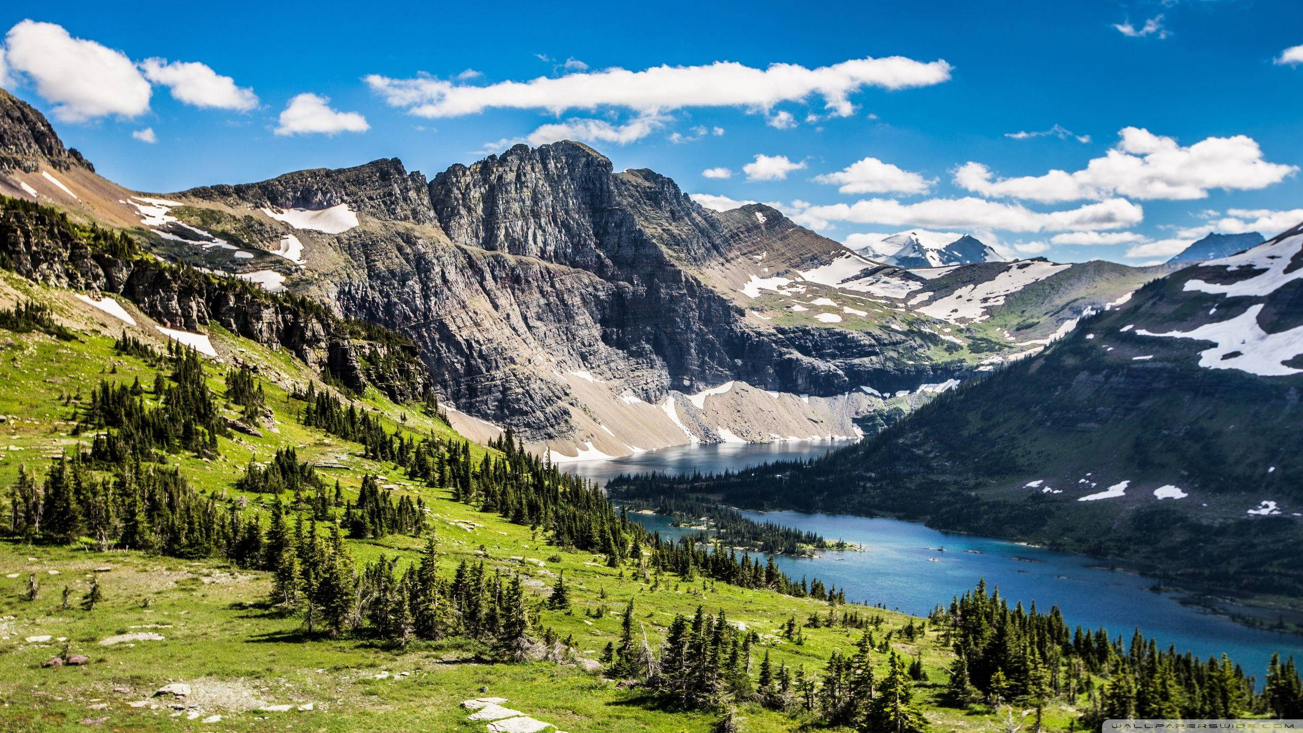 Montana, wood patches, alpine lake, 2K Desktop Wallpaper