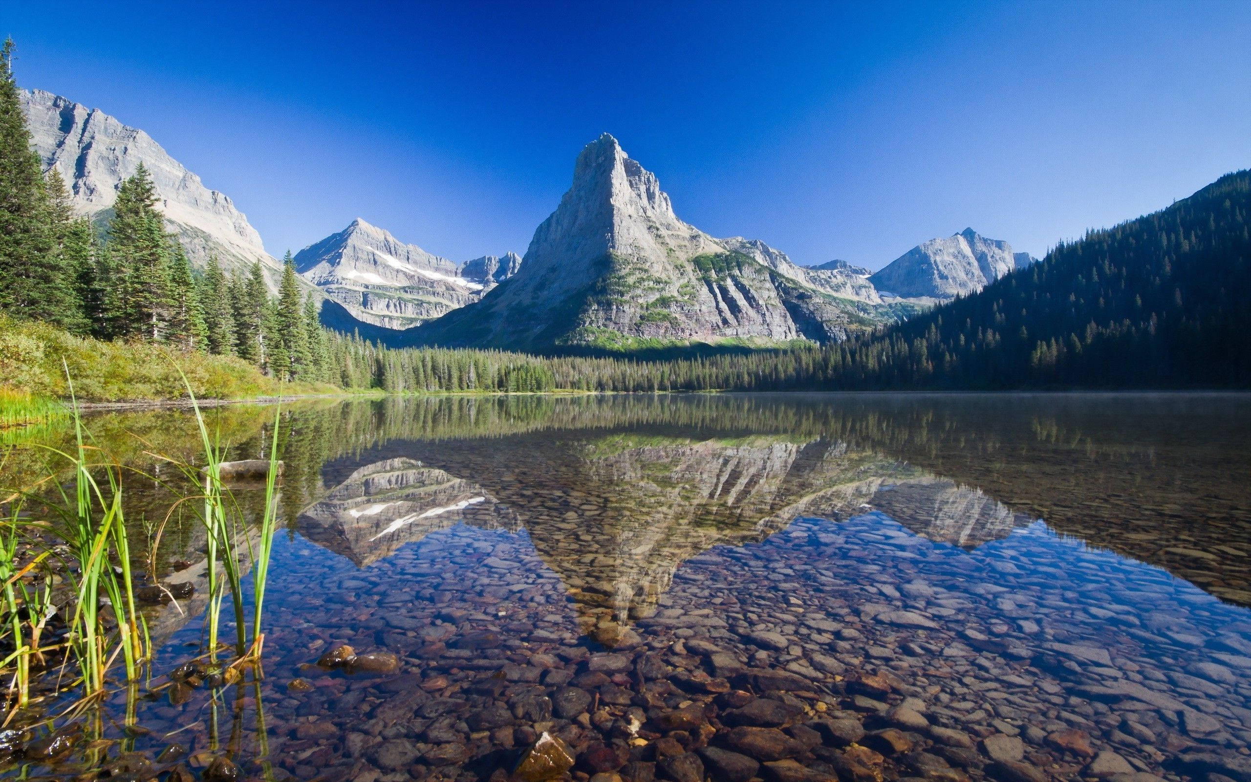 Montana Mountain, jagged peaks, evergreen forests, 2K Desktop Wallpaper