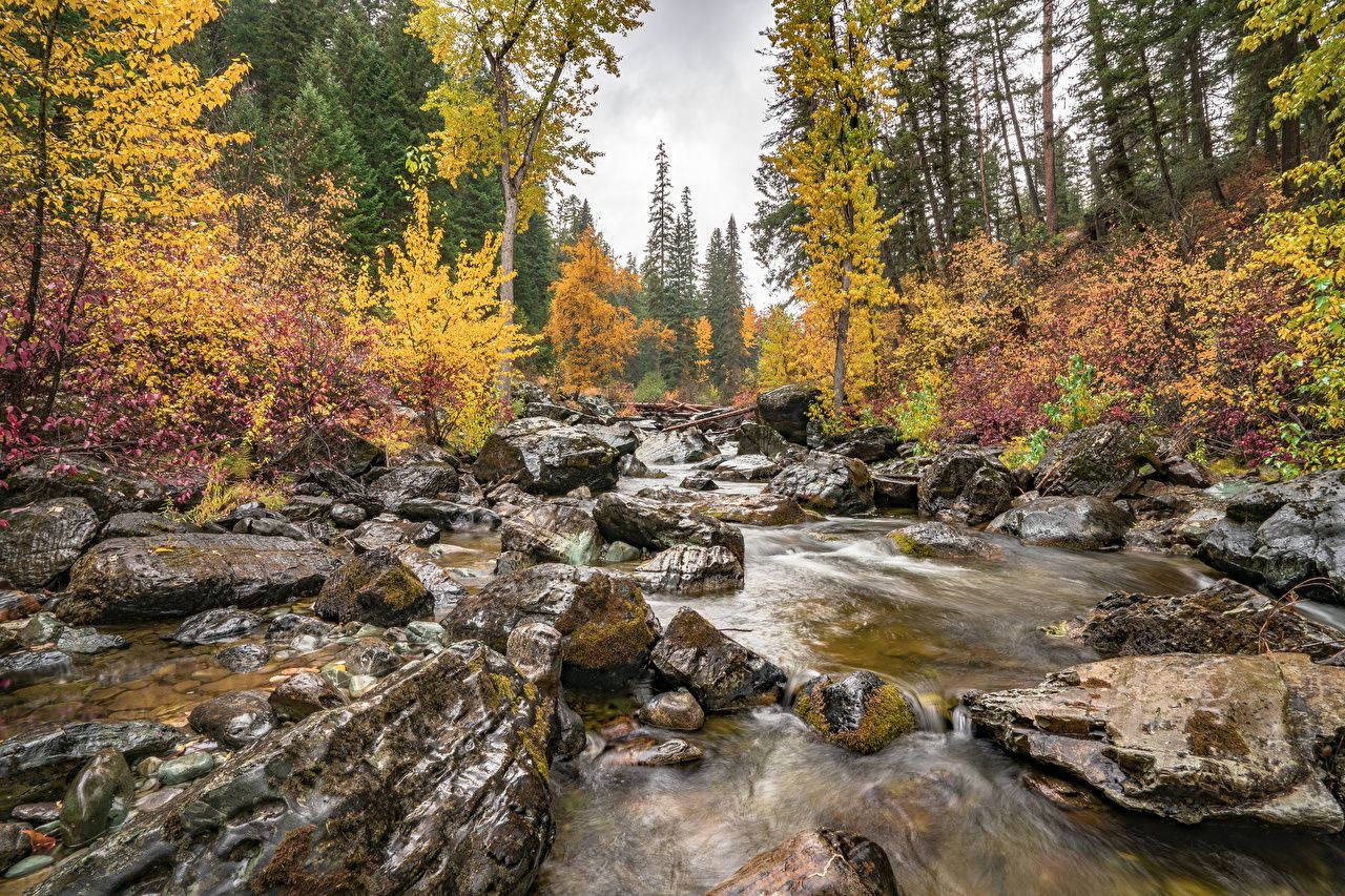 hiking trail, Montana, autumn stream, HD Desktop Wallpaper
