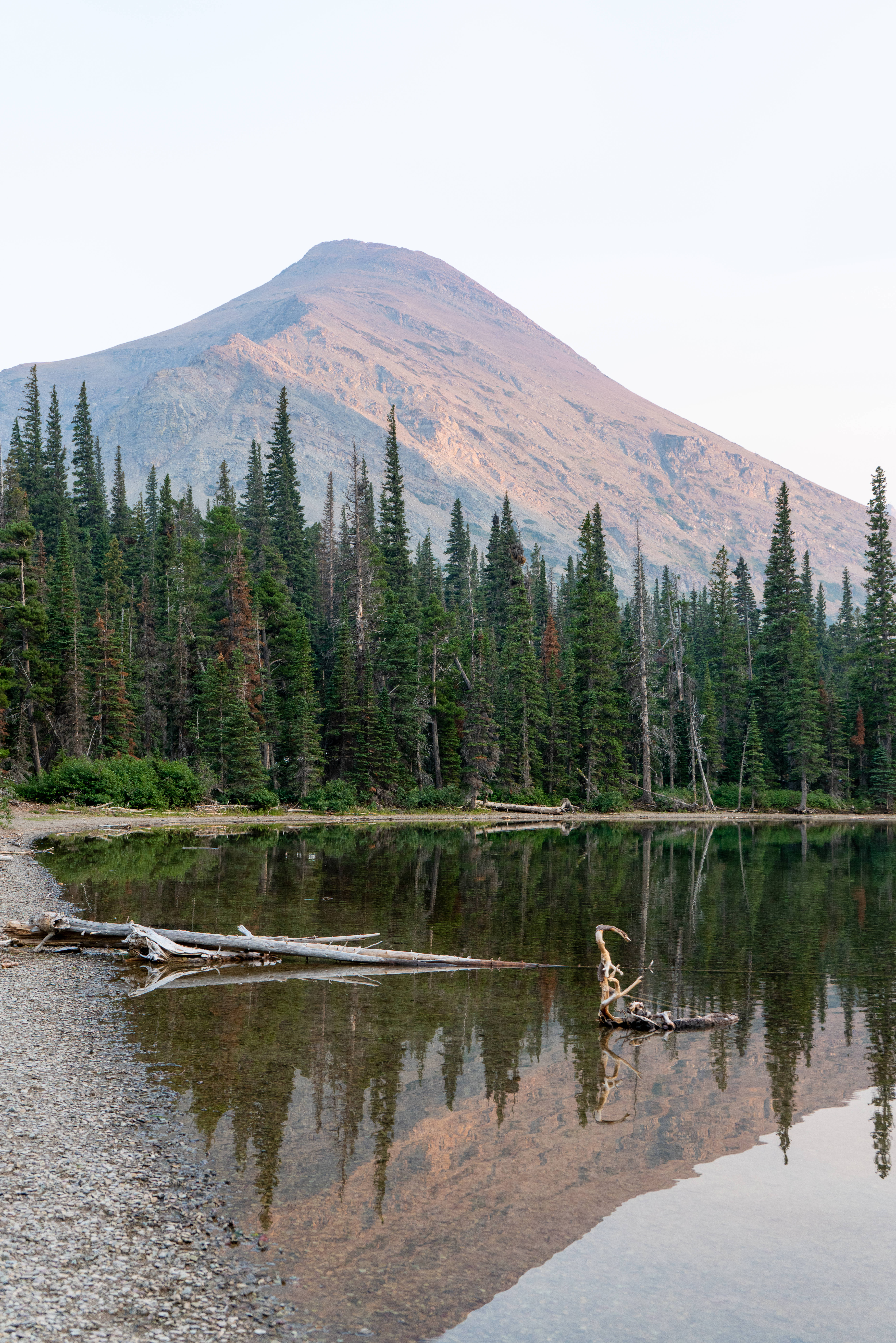 Lake Shoreline, Trees, Montana, 8K Phone Wallpaper