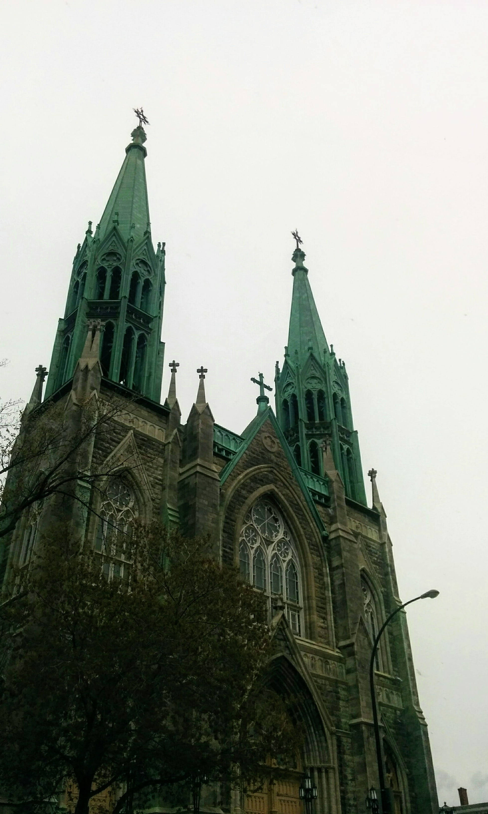 old church, Montreal, gothic cathedral, 2K Phone Wallpaper