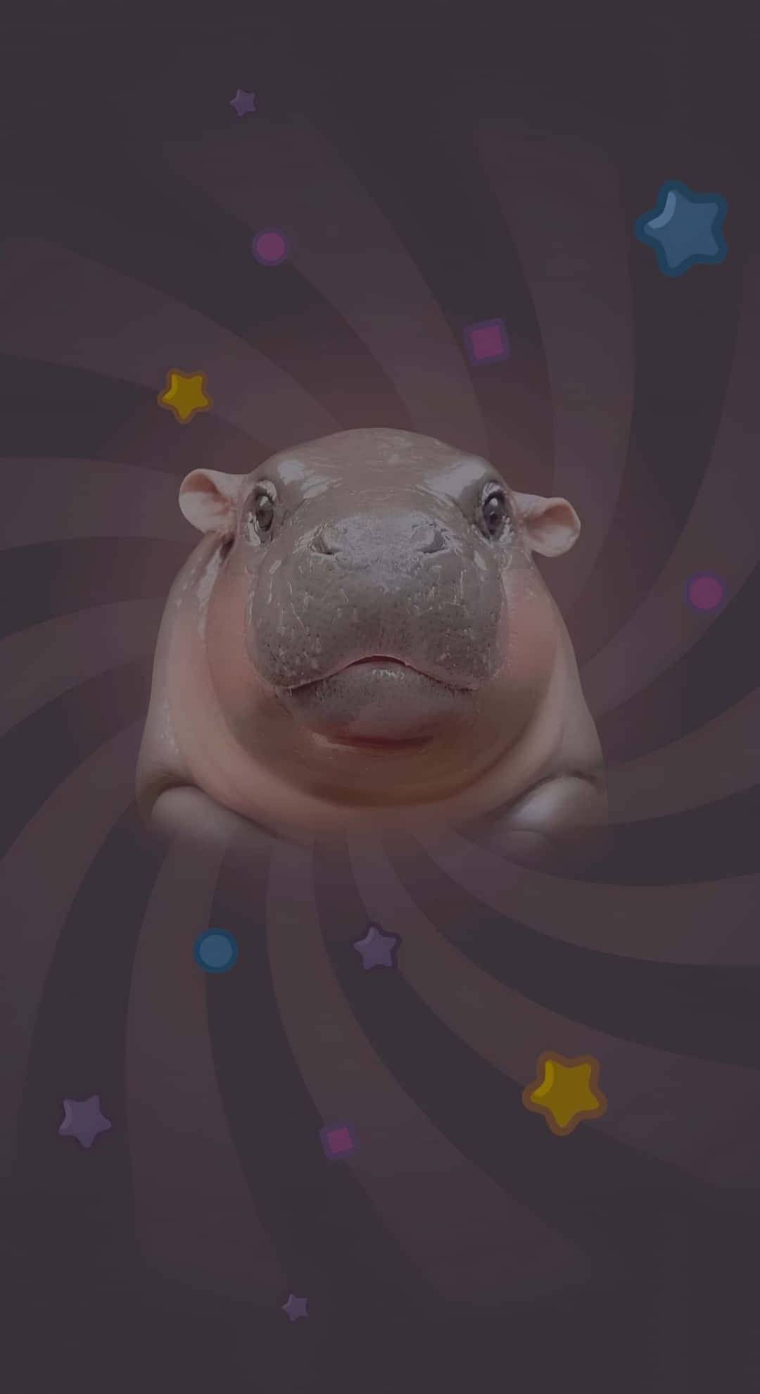 Moo Deng, hippo character, dark swirling galaxy, Full HD Phone Wallpaper
