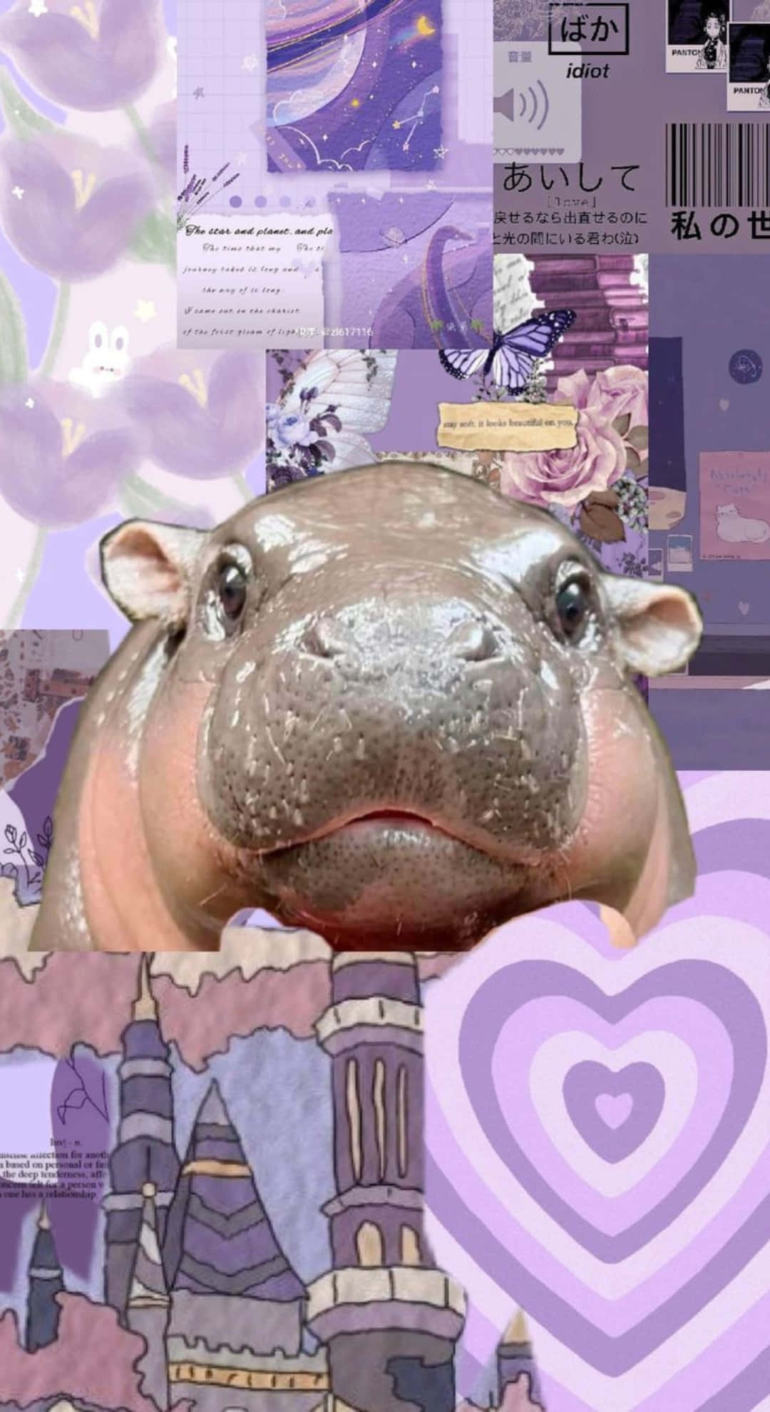 Moo Deng, hippo, vibrant purple, Full HD Phone Wallpaper