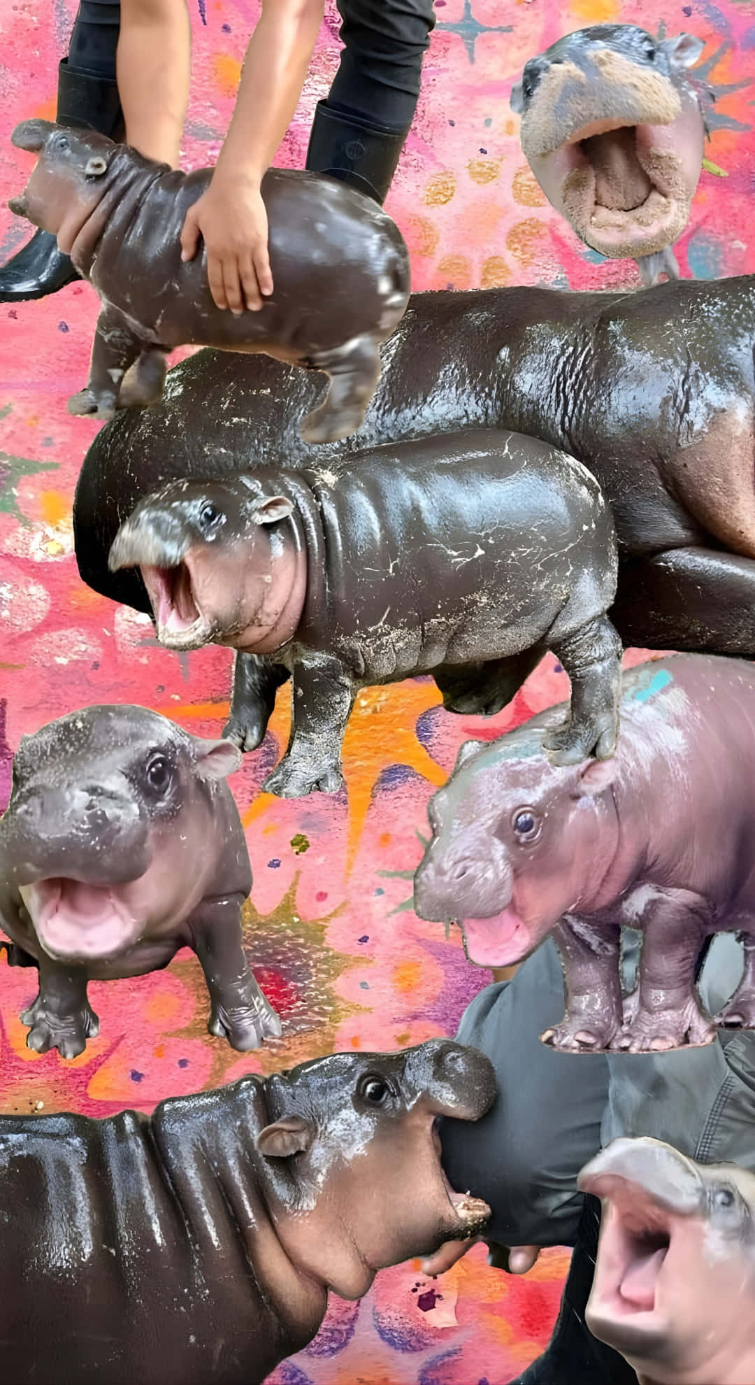Moo Deng, hippo, figurines, Full HD Phone Wallpaper