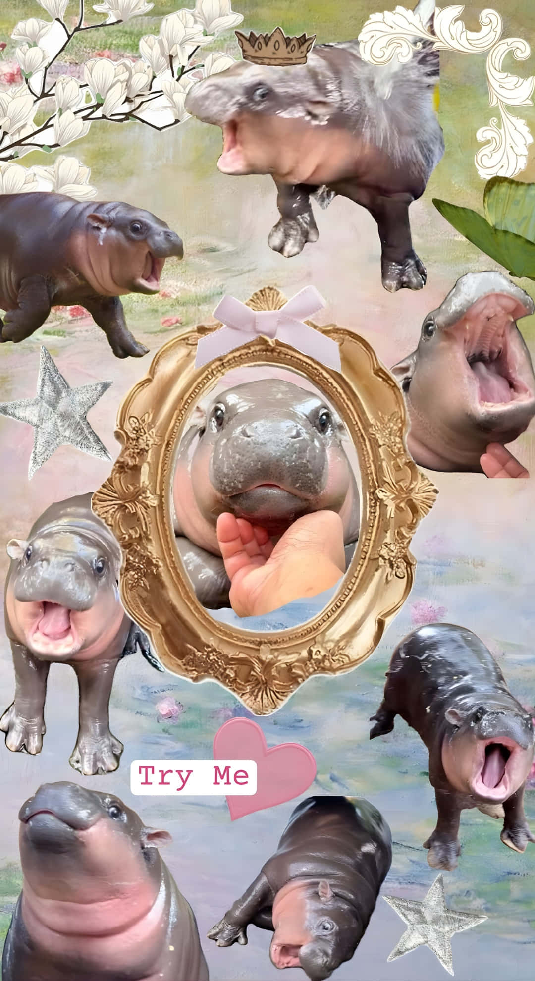 Moo Deng, baby hippo, collage, Full HD Phone Wallpaper