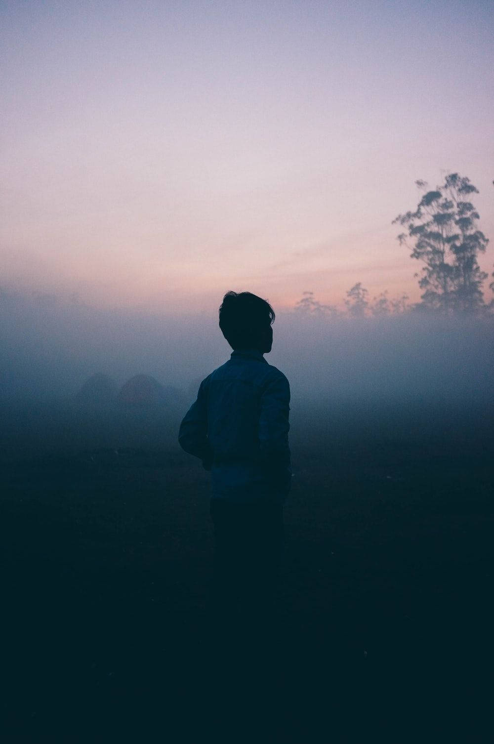 lonely man, misty twilight, soft pink and purple sky, HD Phone Wallpaper