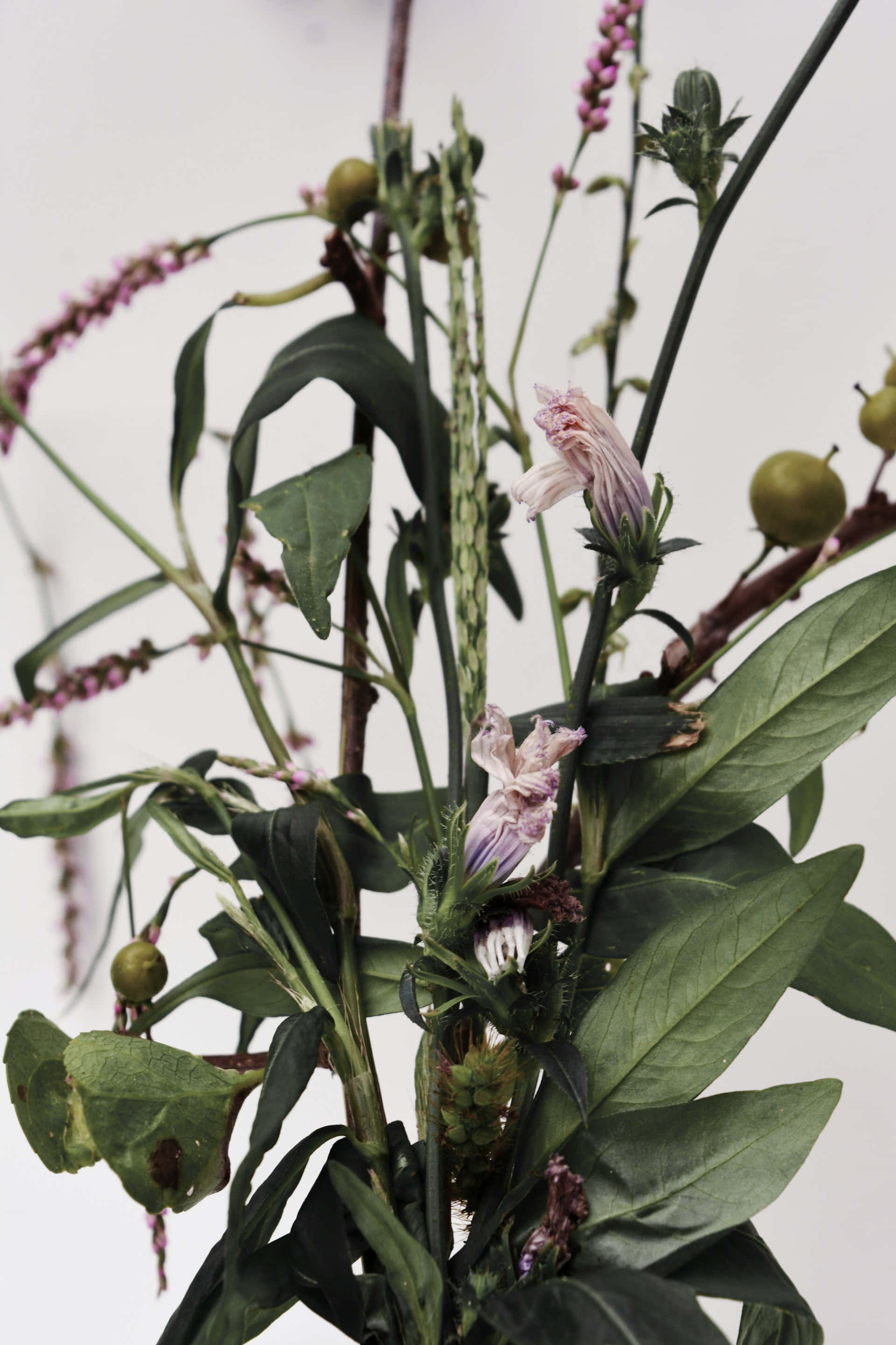 Moody Floral Arrangement, pink blossoms, green leaves, 2K Phone Wallpaper