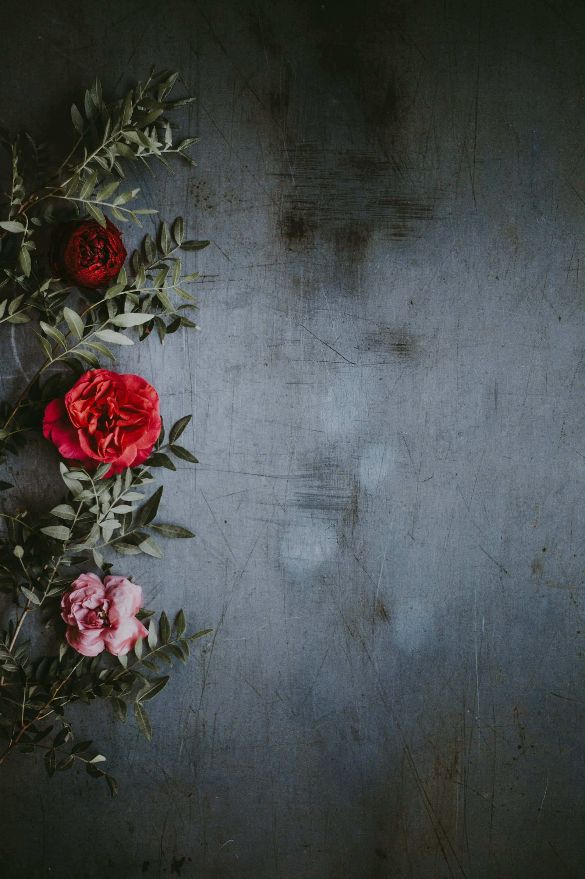 Moody Floral, vibrant red roses, pink roses, 2K Phone Wallpaper