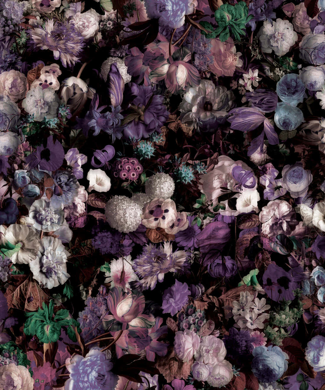 dark floral moody backdrop, purple, white, HD Phone Wallpaper