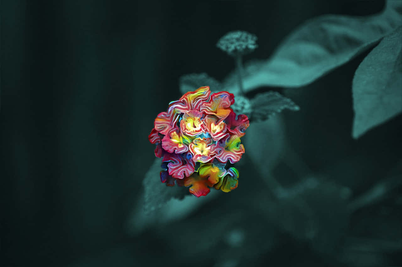Psychedelic Flowers, vibrant abstract flower, swirling rainbow petals, HD Desktop Wallpaper