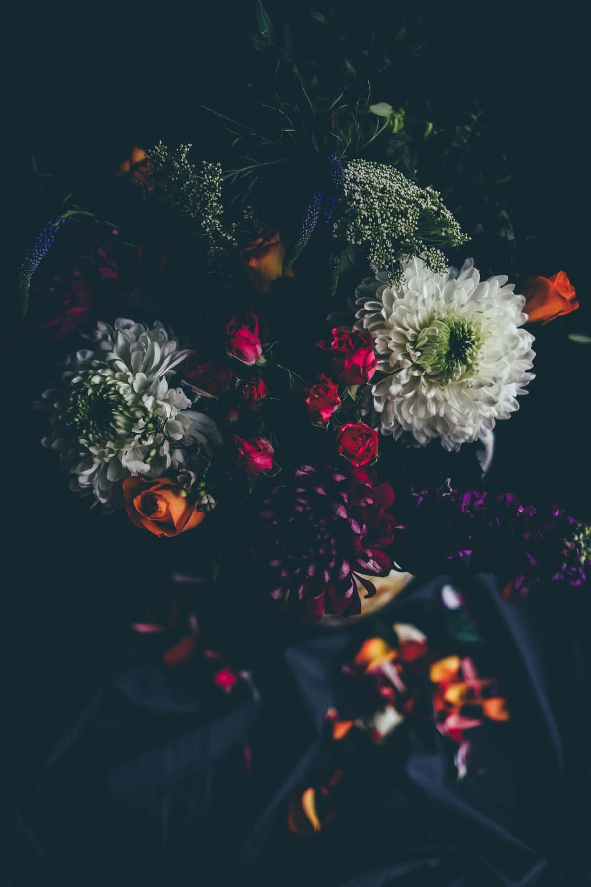 Moody Floral Aesthetic, white chrysanthemums, deep red roses, HD Phone Wallpaper