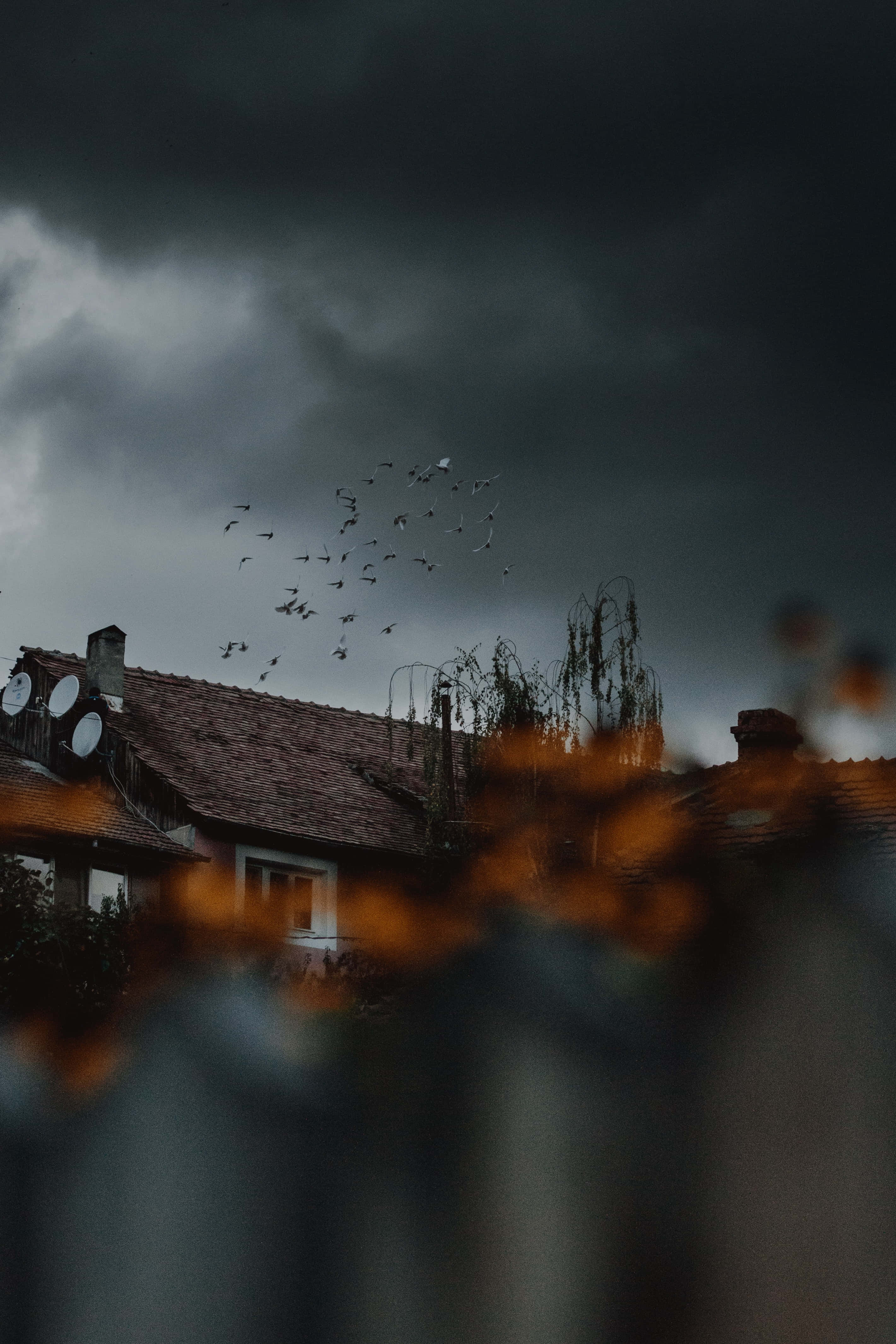 flock of birds, moody weather, dark storm clouds, 4K Phone Wallpaper
