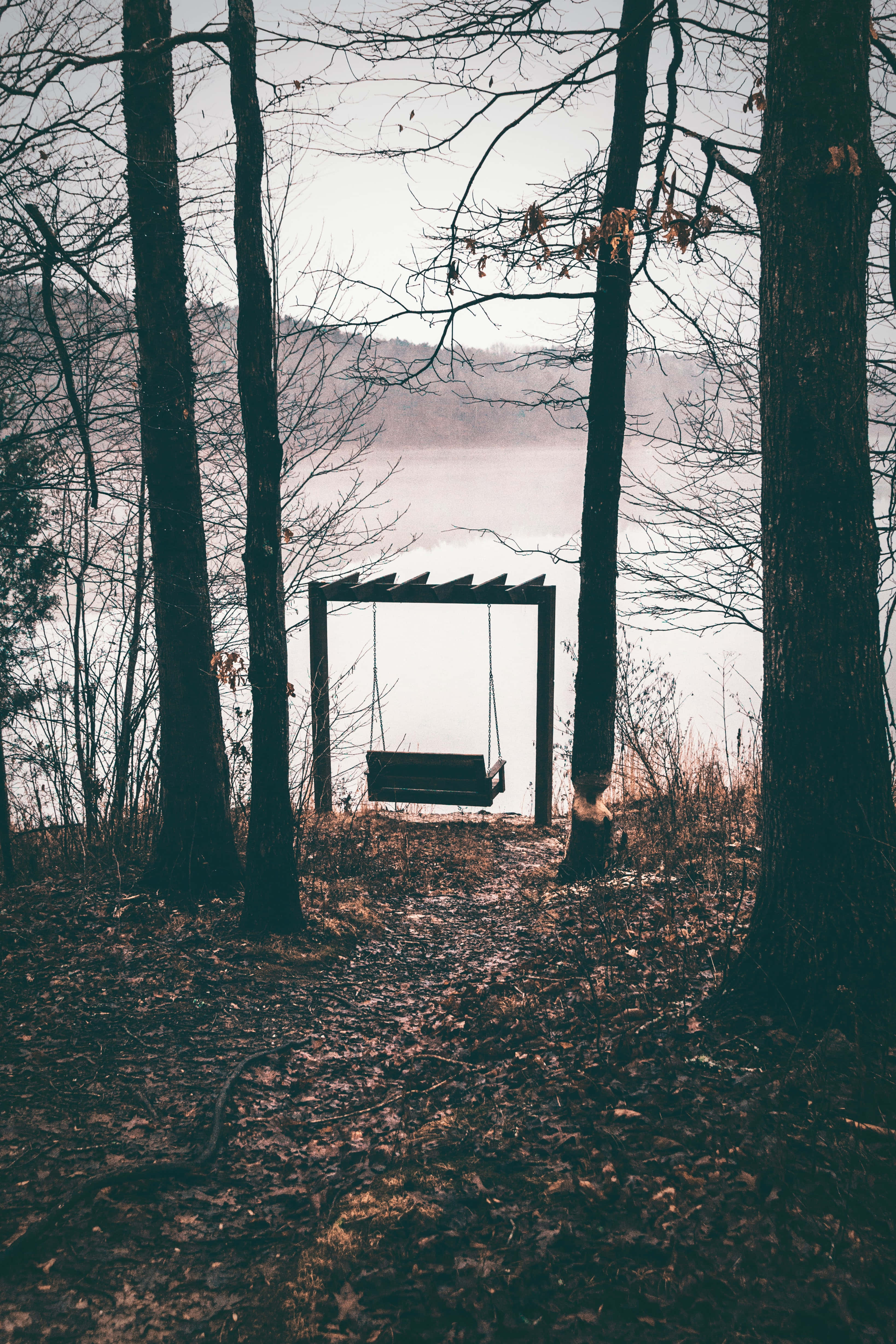 Moody Swing HD Phone, wooden swing, bare trees, 4K Phone Wallpaper