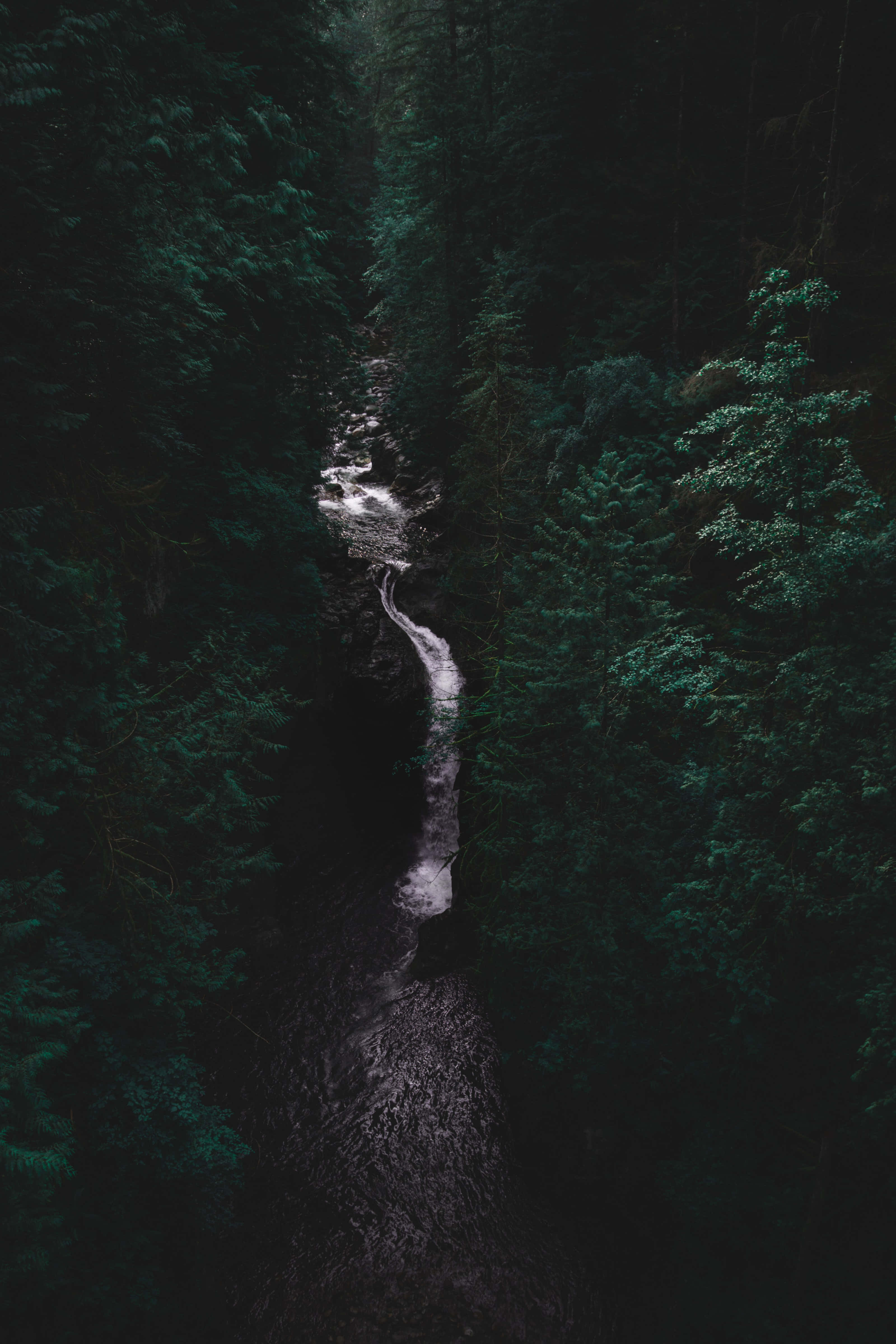 Moody River HD, narrow stream, dense dark forest, 4K Phone Wallpaper
