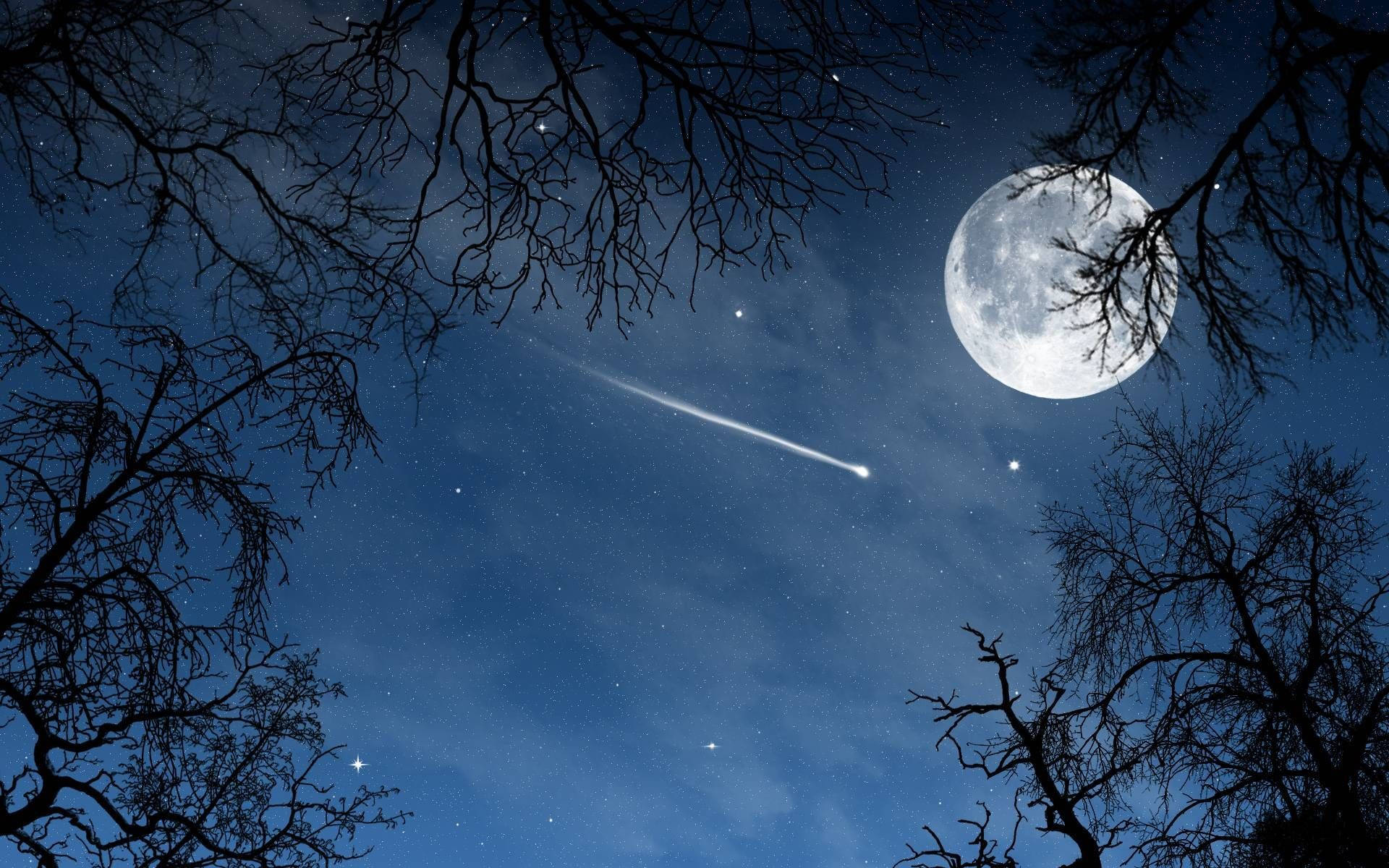 Moon And Stars, tree silhouette, shooting star, Full HD Desktop Wallpaper