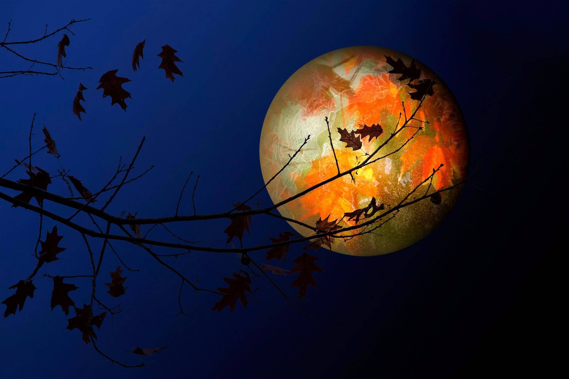 orange moon, deep blue night sky, autumn branches, Full HD Desktop Wallpaper