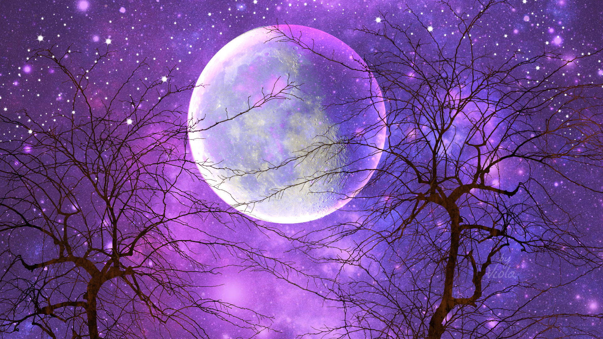 Purple Moon Night Sky, glowing full moon, vibrant purple starry night sky, Full HD Desktop Wallpaper