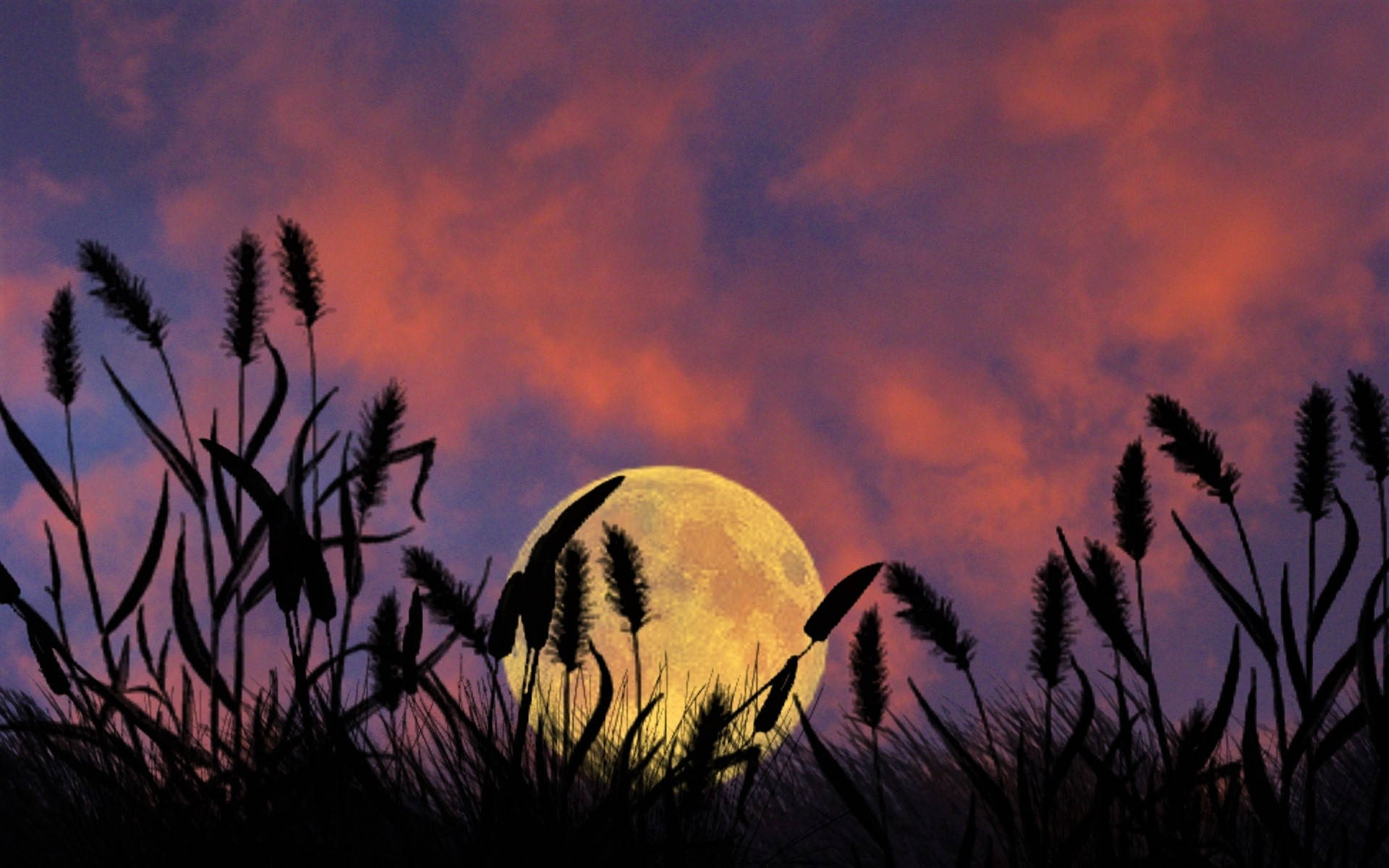 dusk moon, night sky, full moon, Full HD Desktop Wallpaper