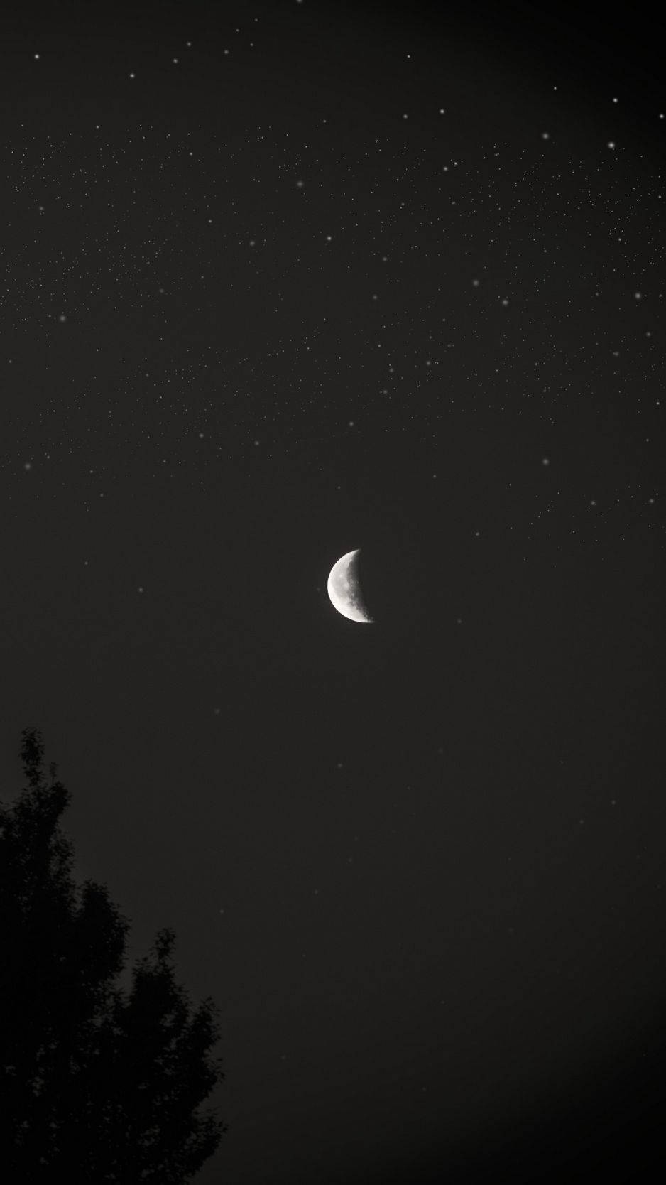 crescent moon, starry night sky, tree branches, HD Phone Wallpaper