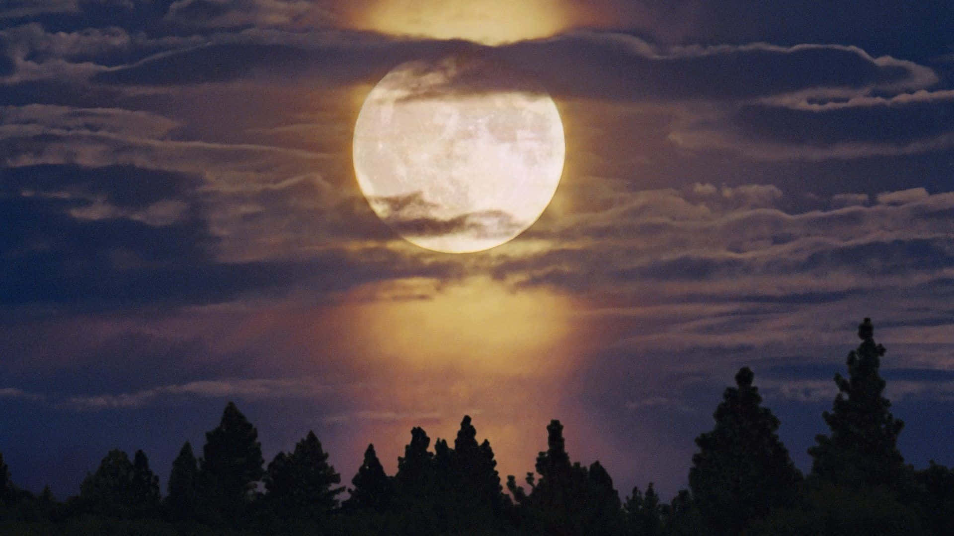 full moon, wispy clouds, dark silhouette of pine trees, Full HD Desktop Wallpaper