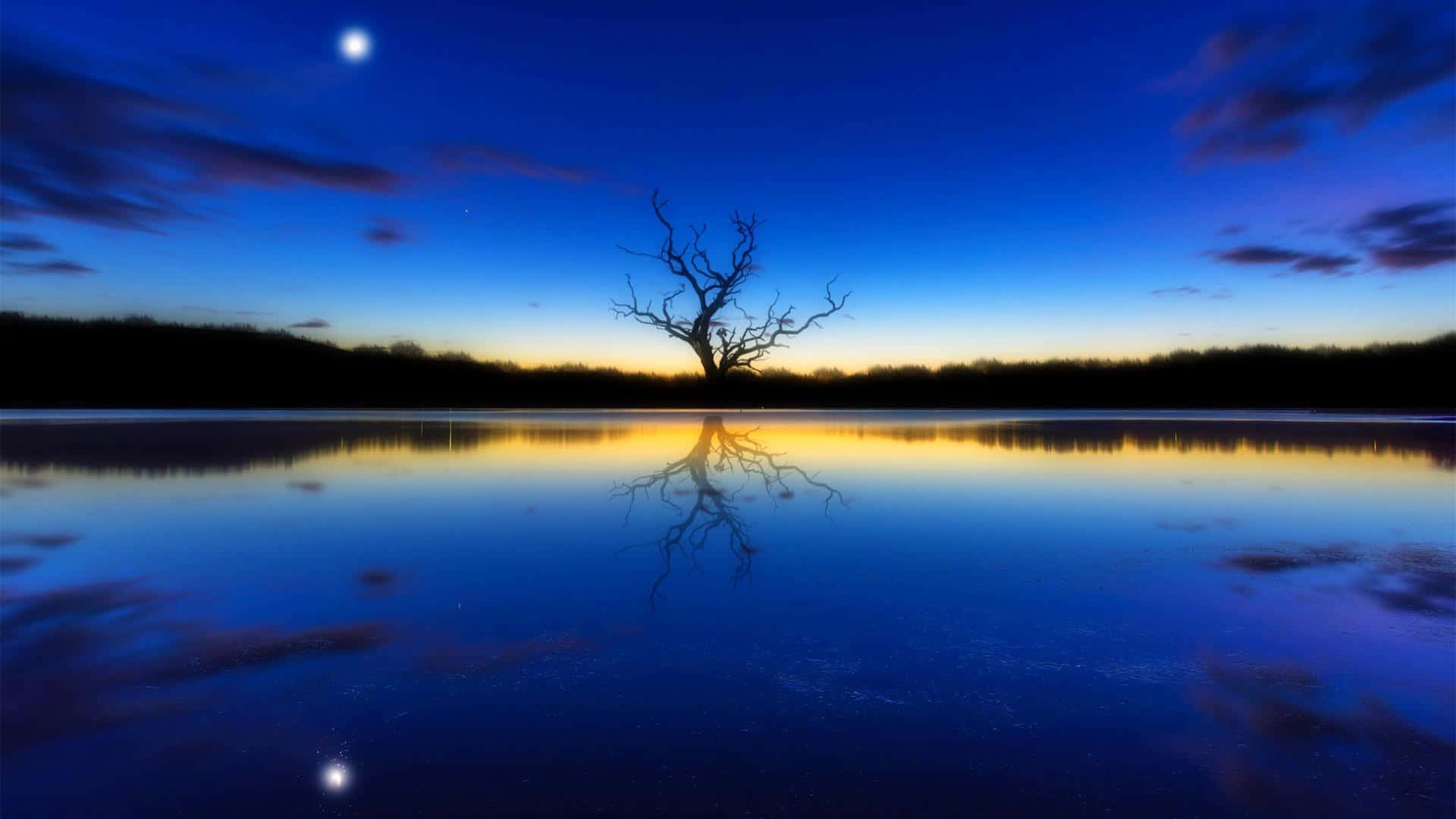 twilight silhouette reflection, bare tree, dusk, Full HD Desktop Wallpaper